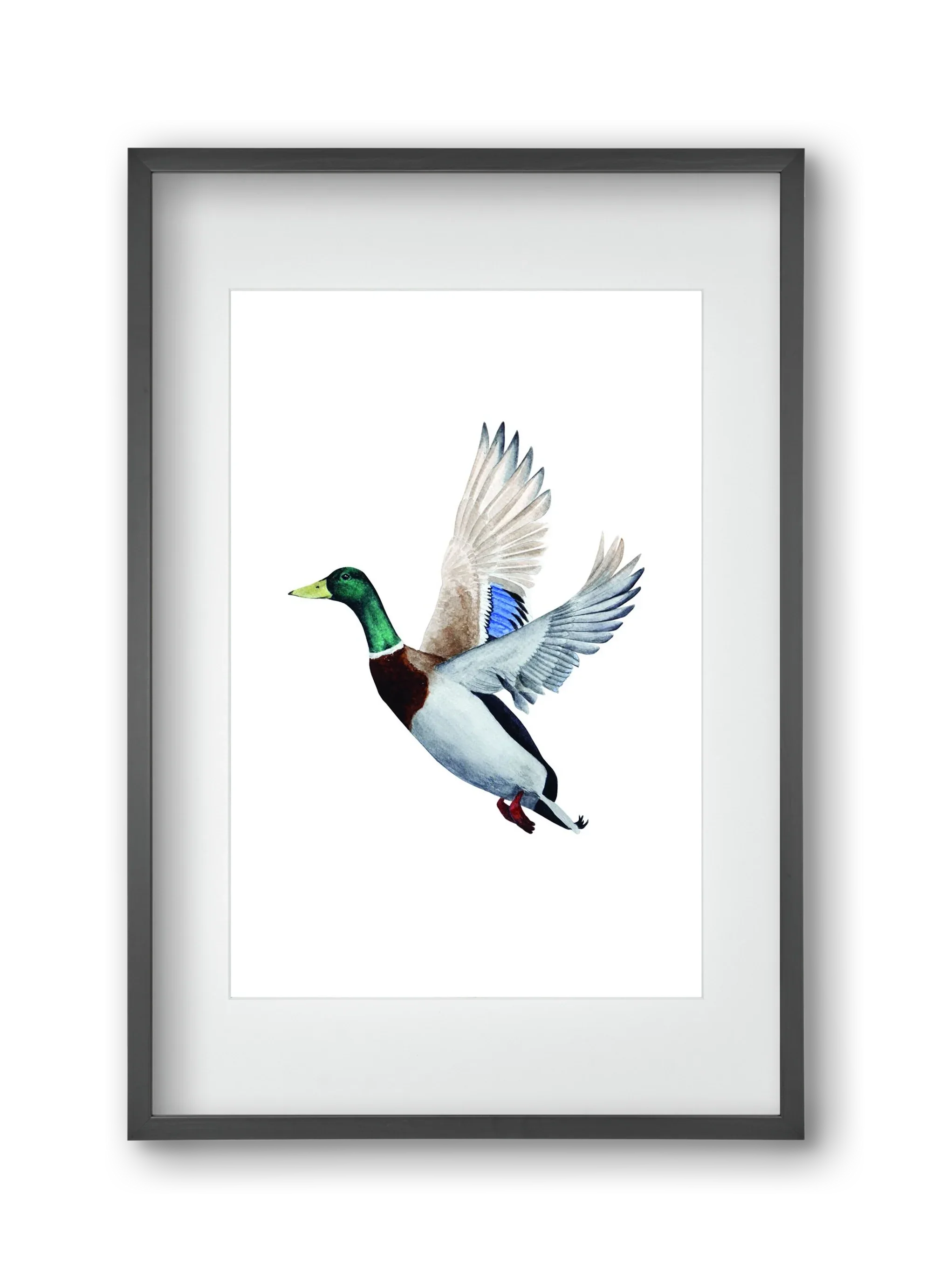 duck - artbridge