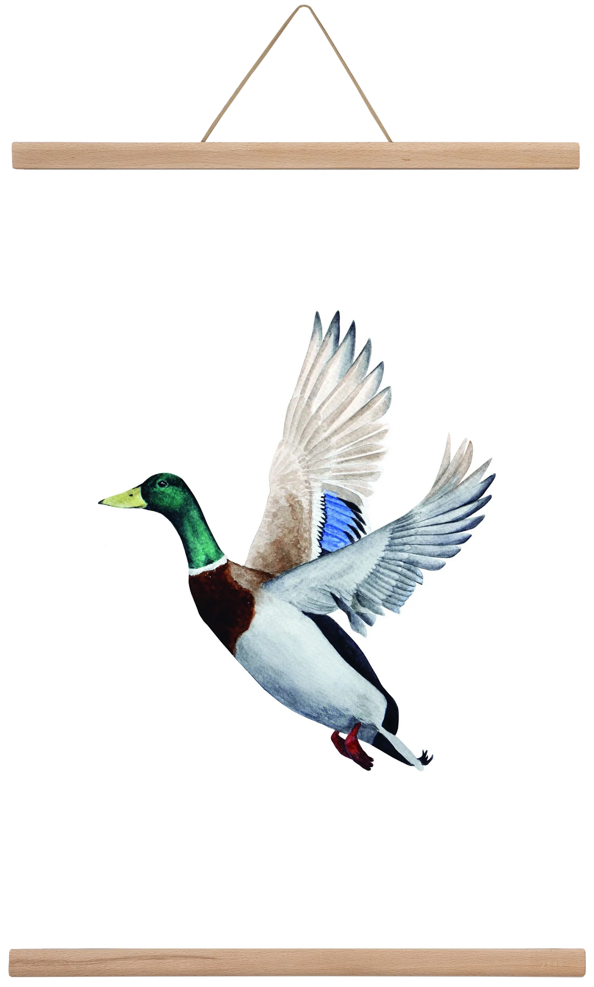 duck - artbridge