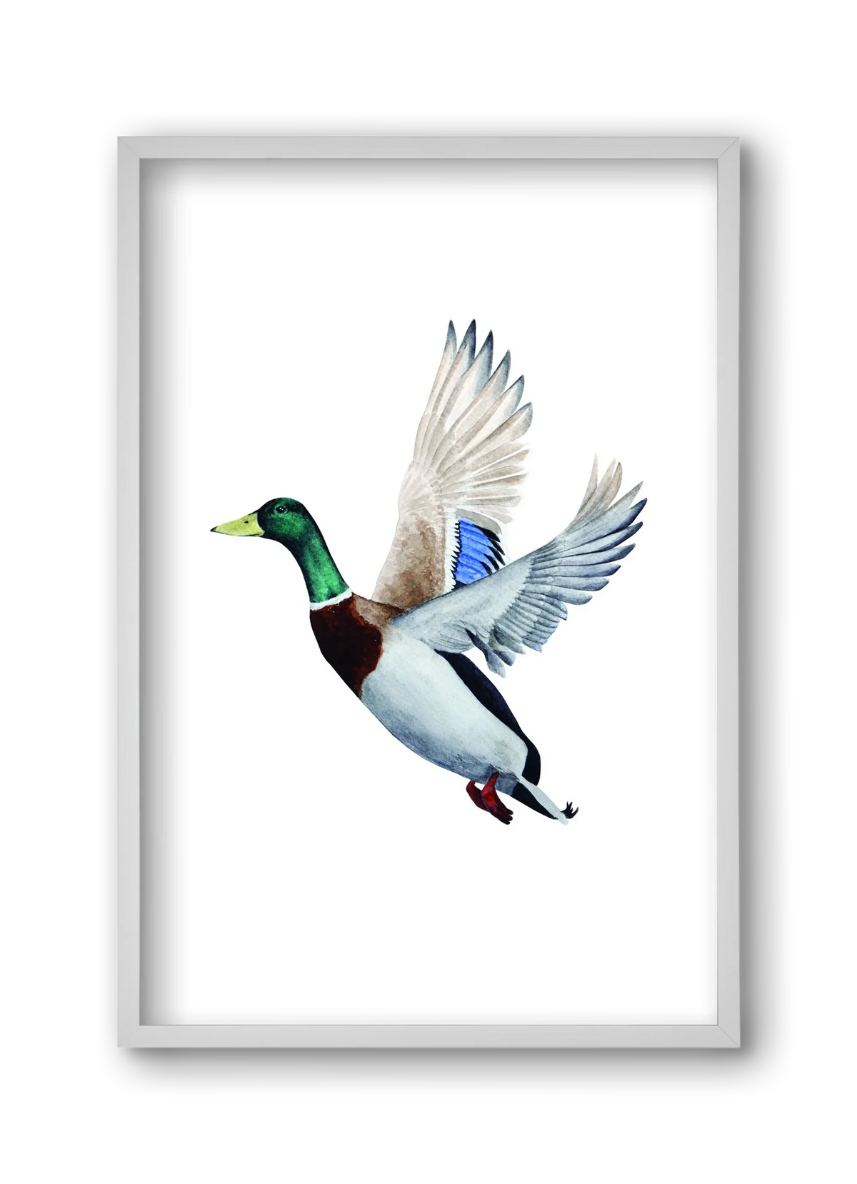 duck - artbridge