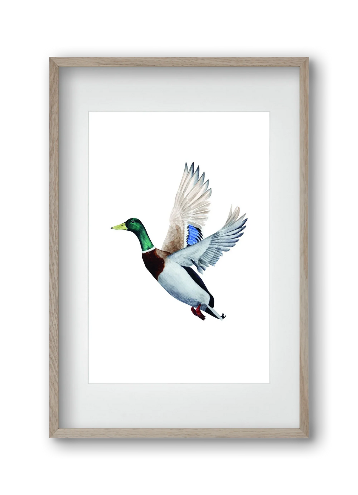 duck - artbridge