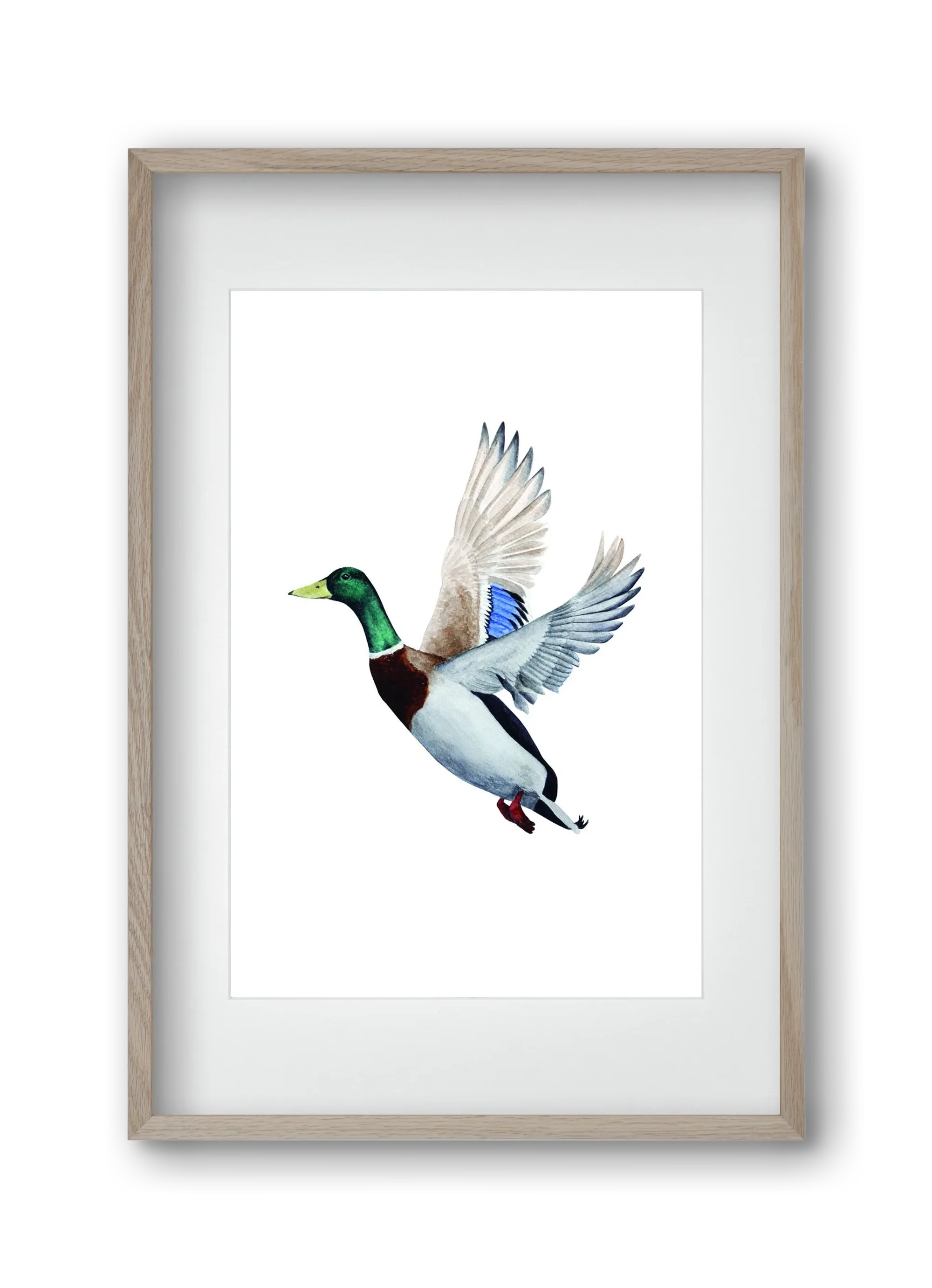 duck - artbridge