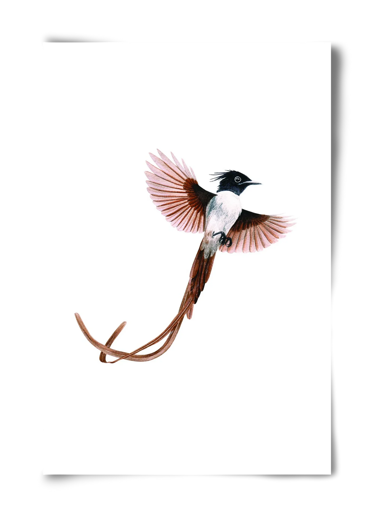 flycatcher - artbridge