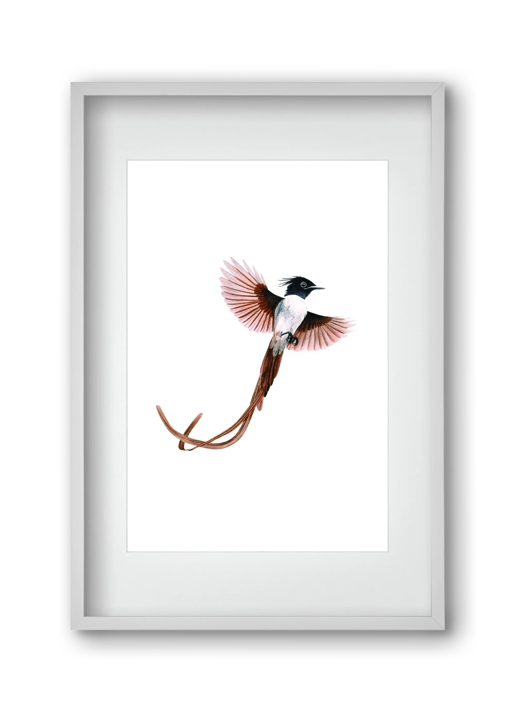 flycatcher - artbridge