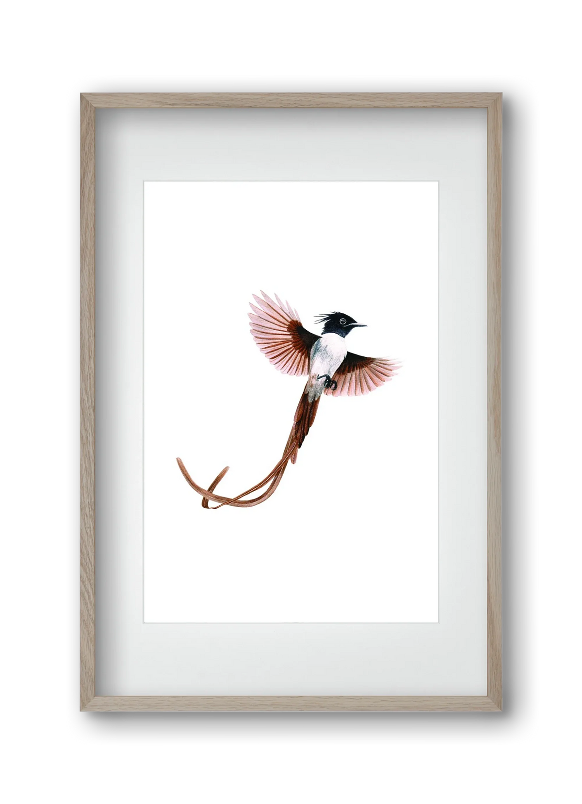 flycatcher - artbridge