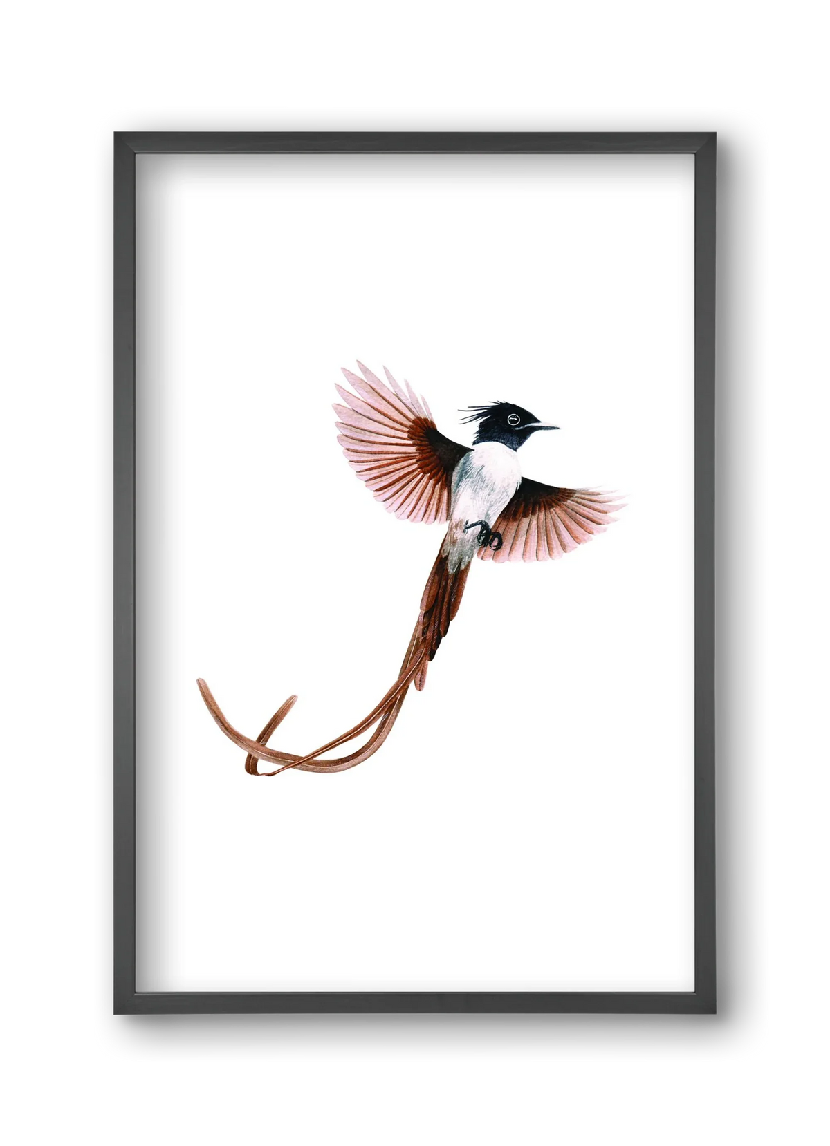 flycatcher - artbridge