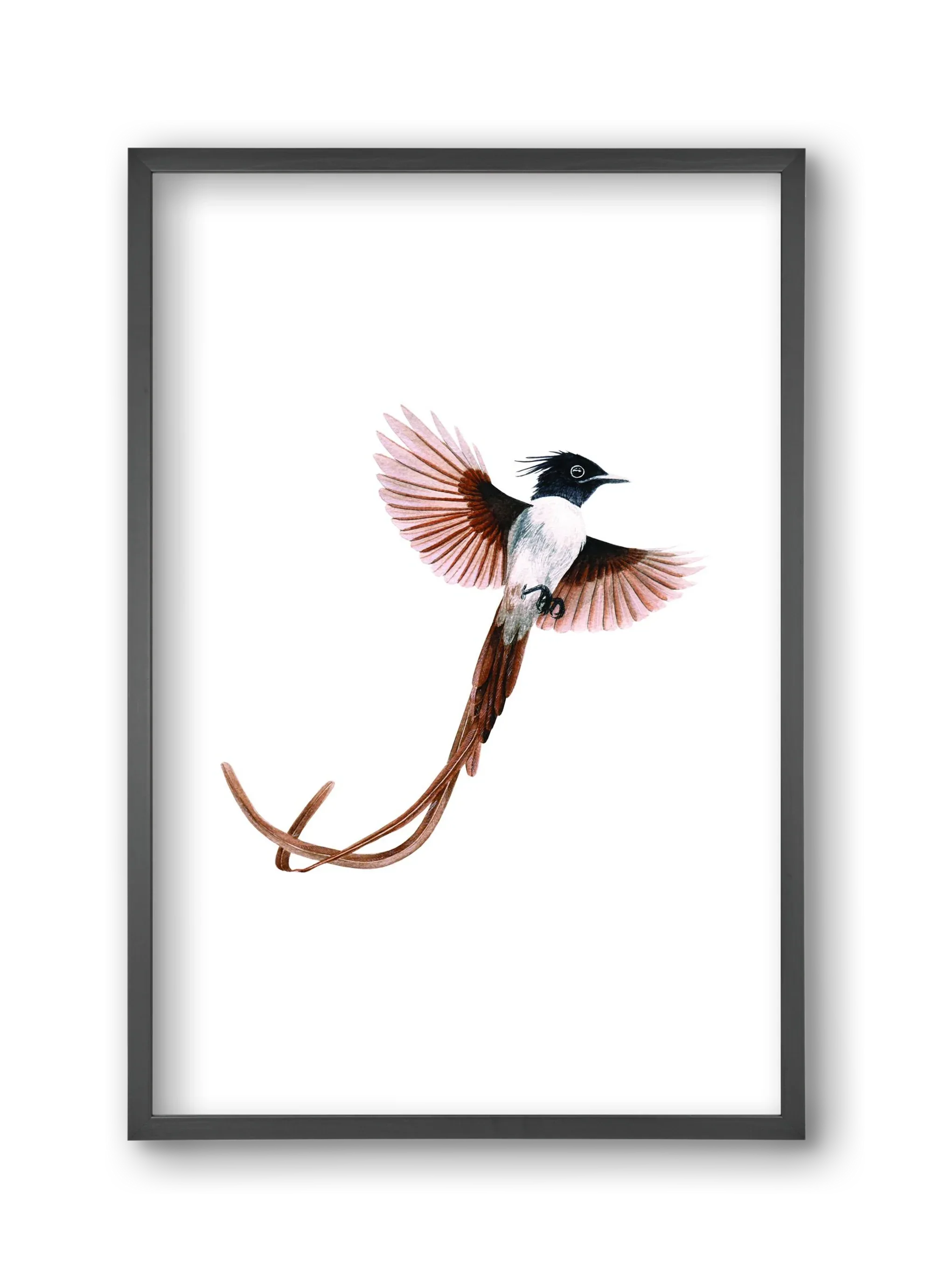 flycatcher - artbridge