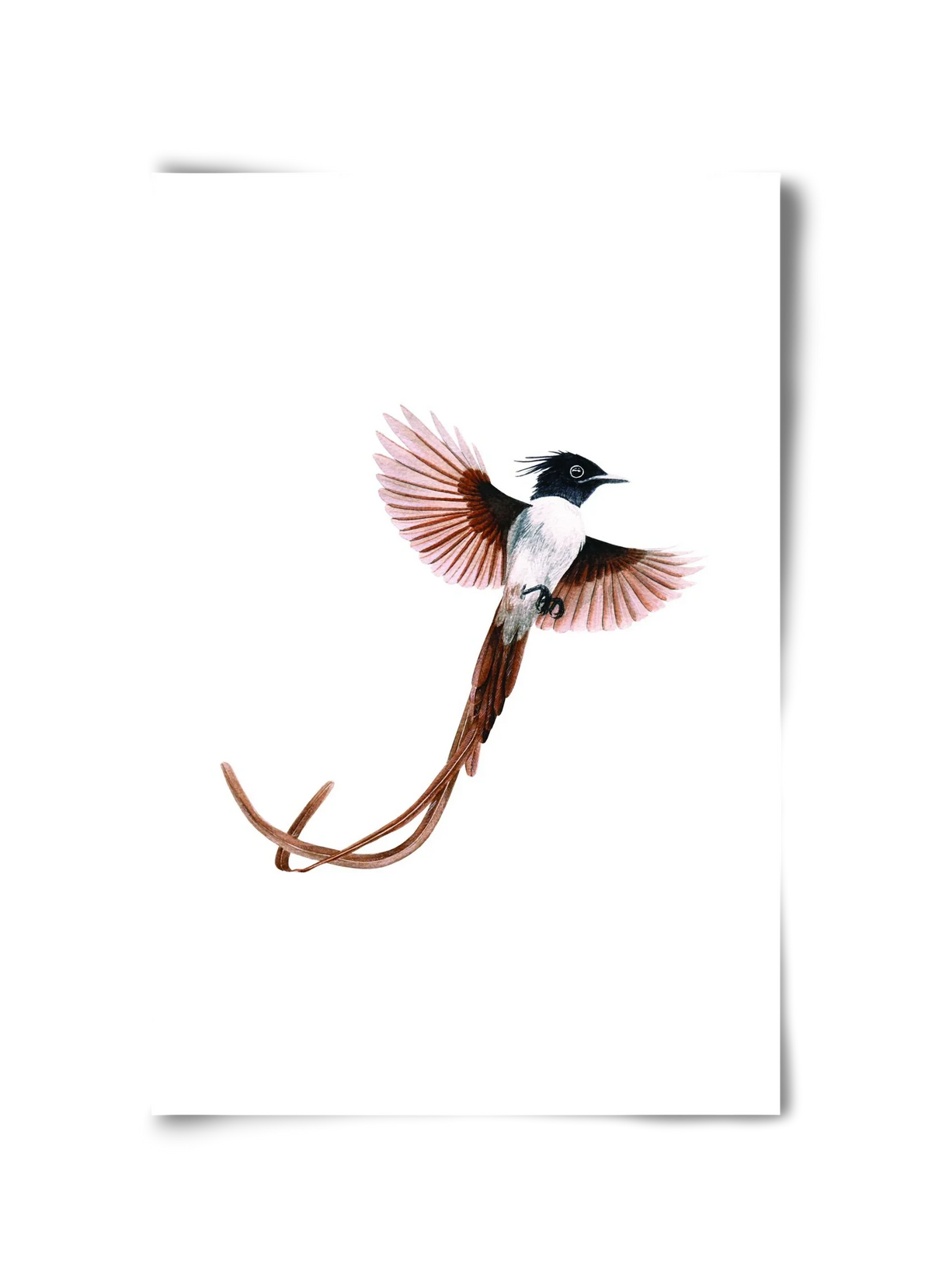 flycatcher - artbridge