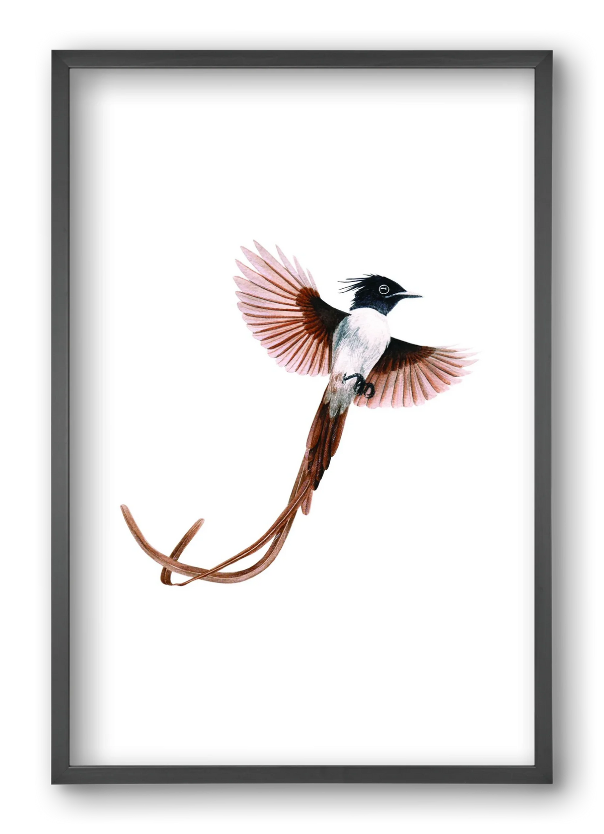 flycatcher - artbridge