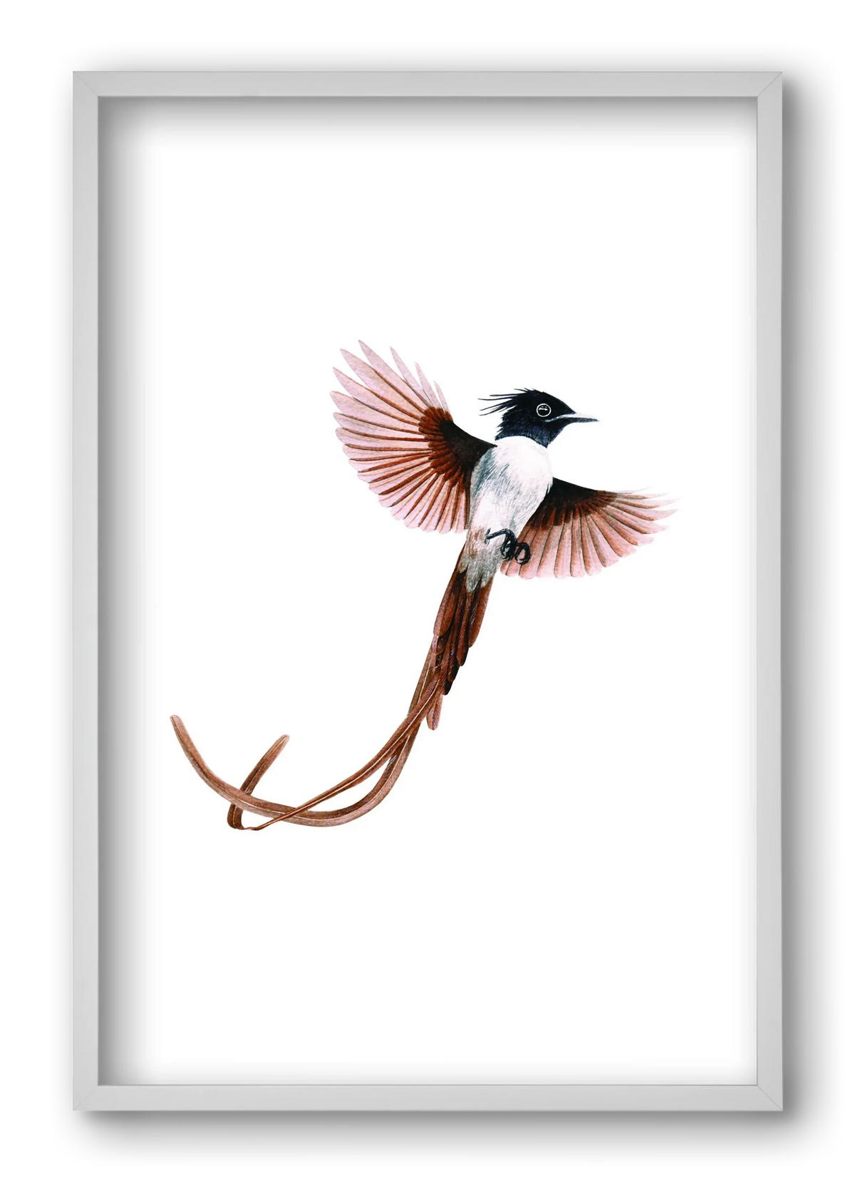 flycatcher - artbridge