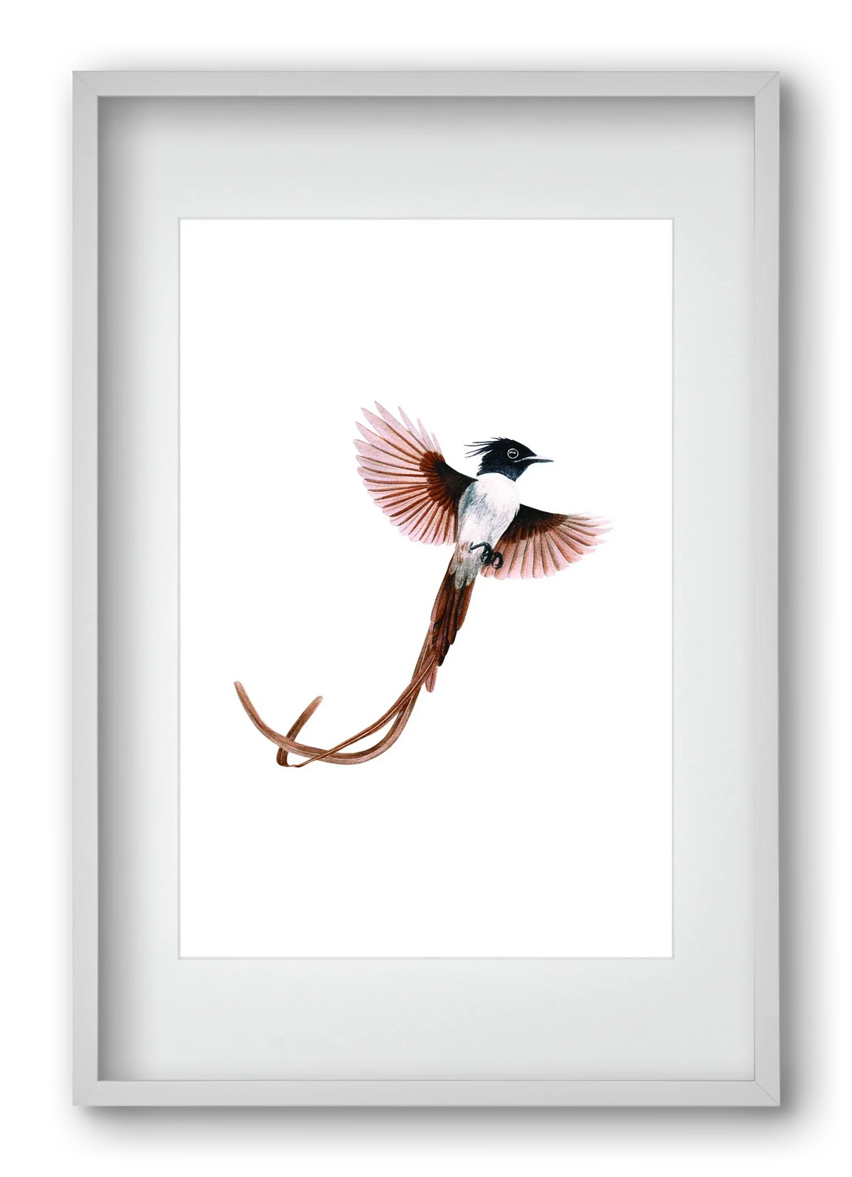 flycatcher - artbridge