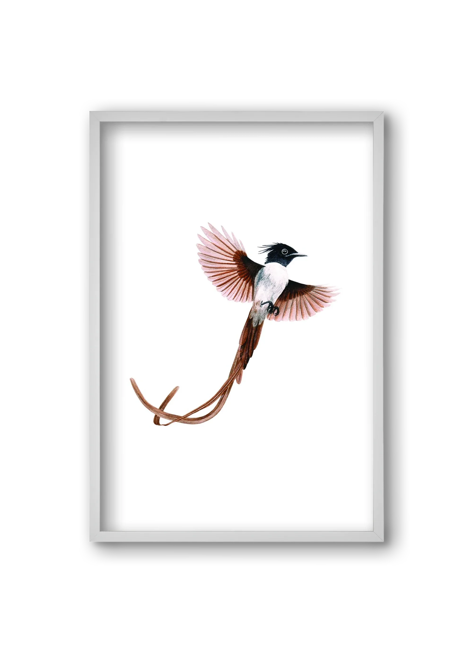 flycatcher - artbridge