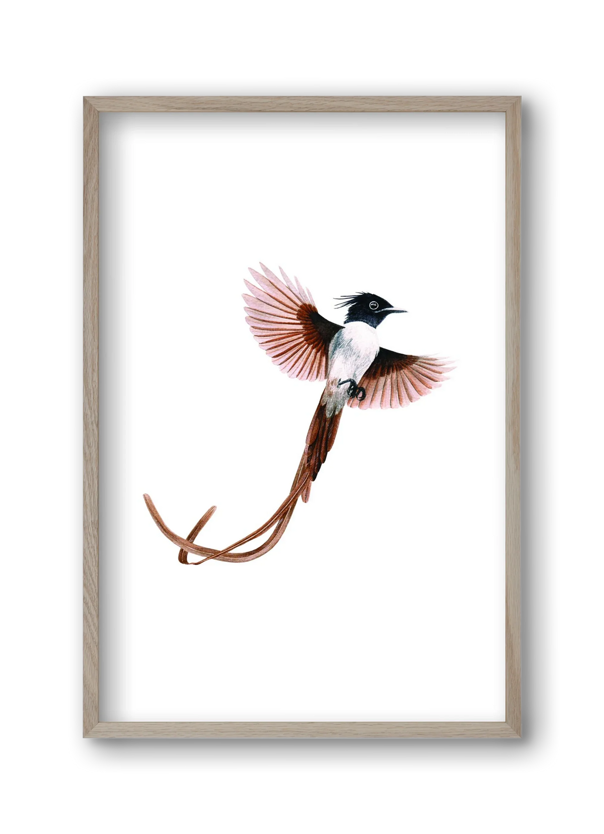 flycatcher - artbridge