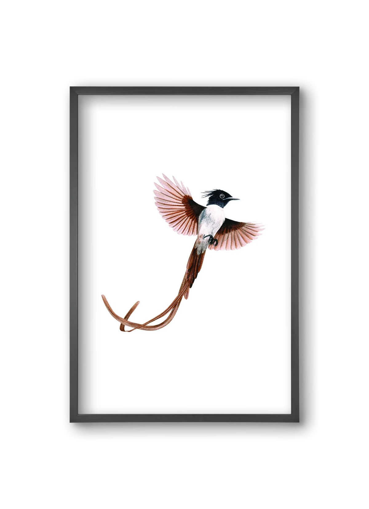 flycatcher - artbridge