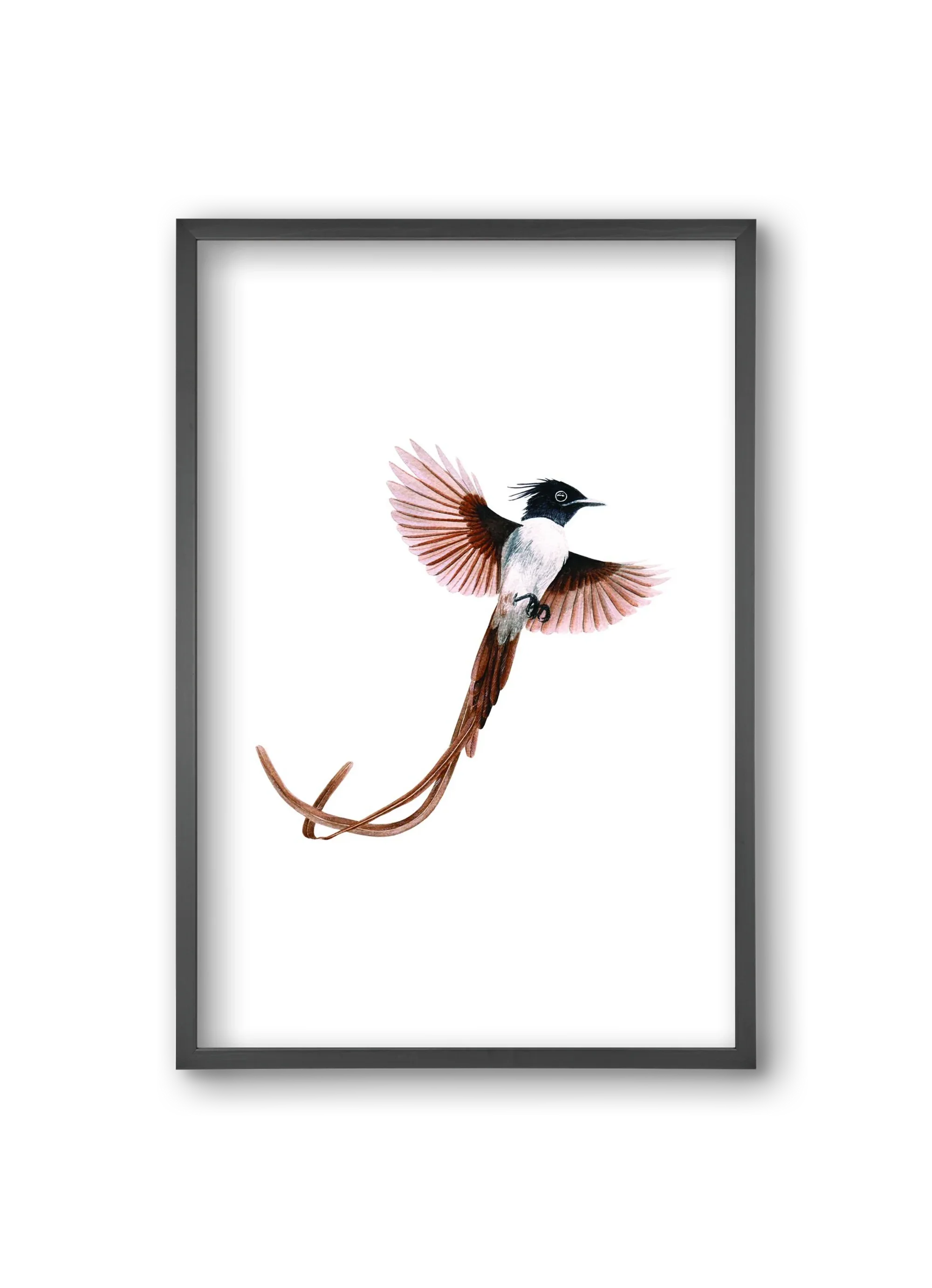 flycatcher - artbridge