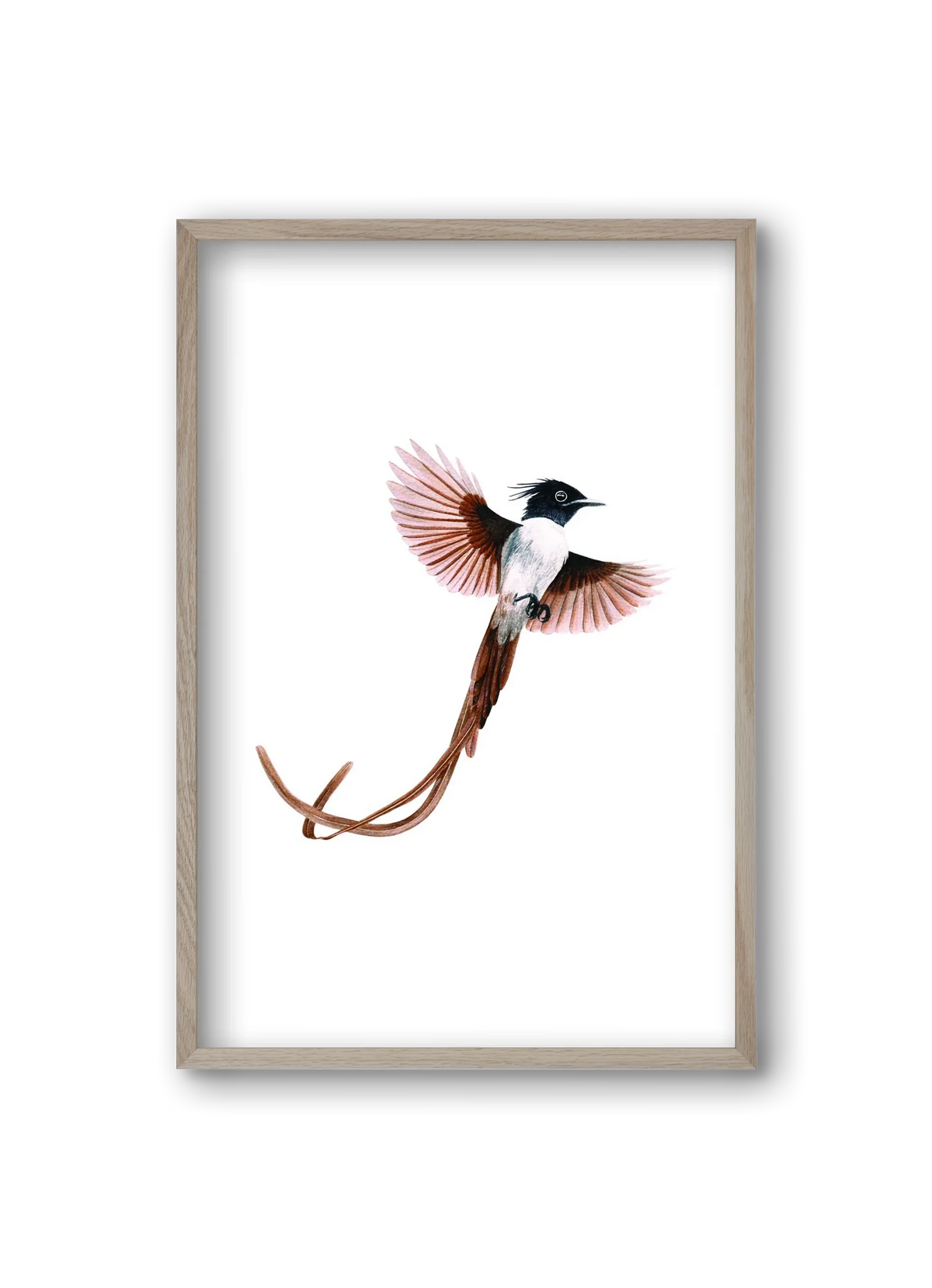 flycatcher - artbridge