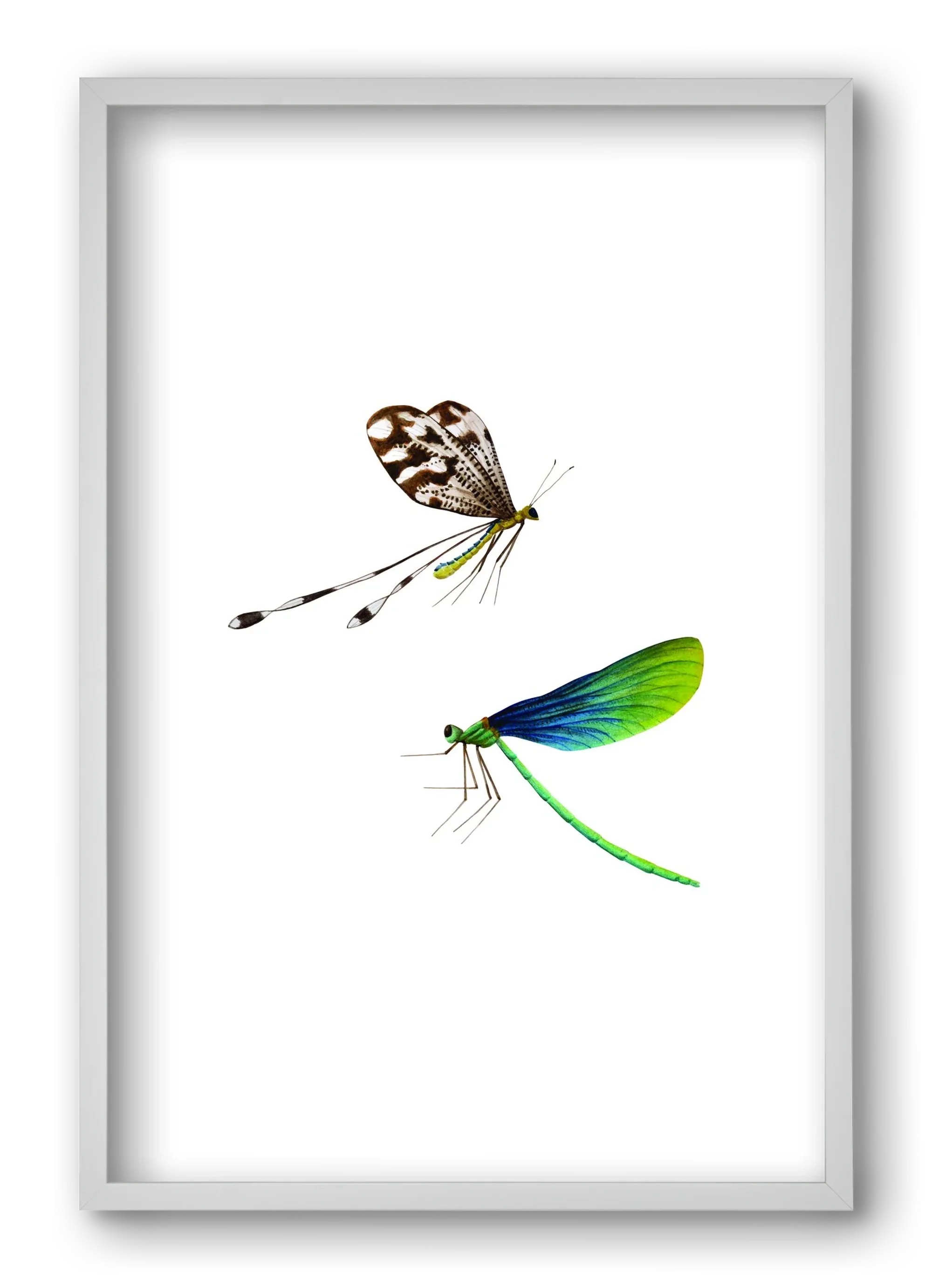 dragonflies - artbridge