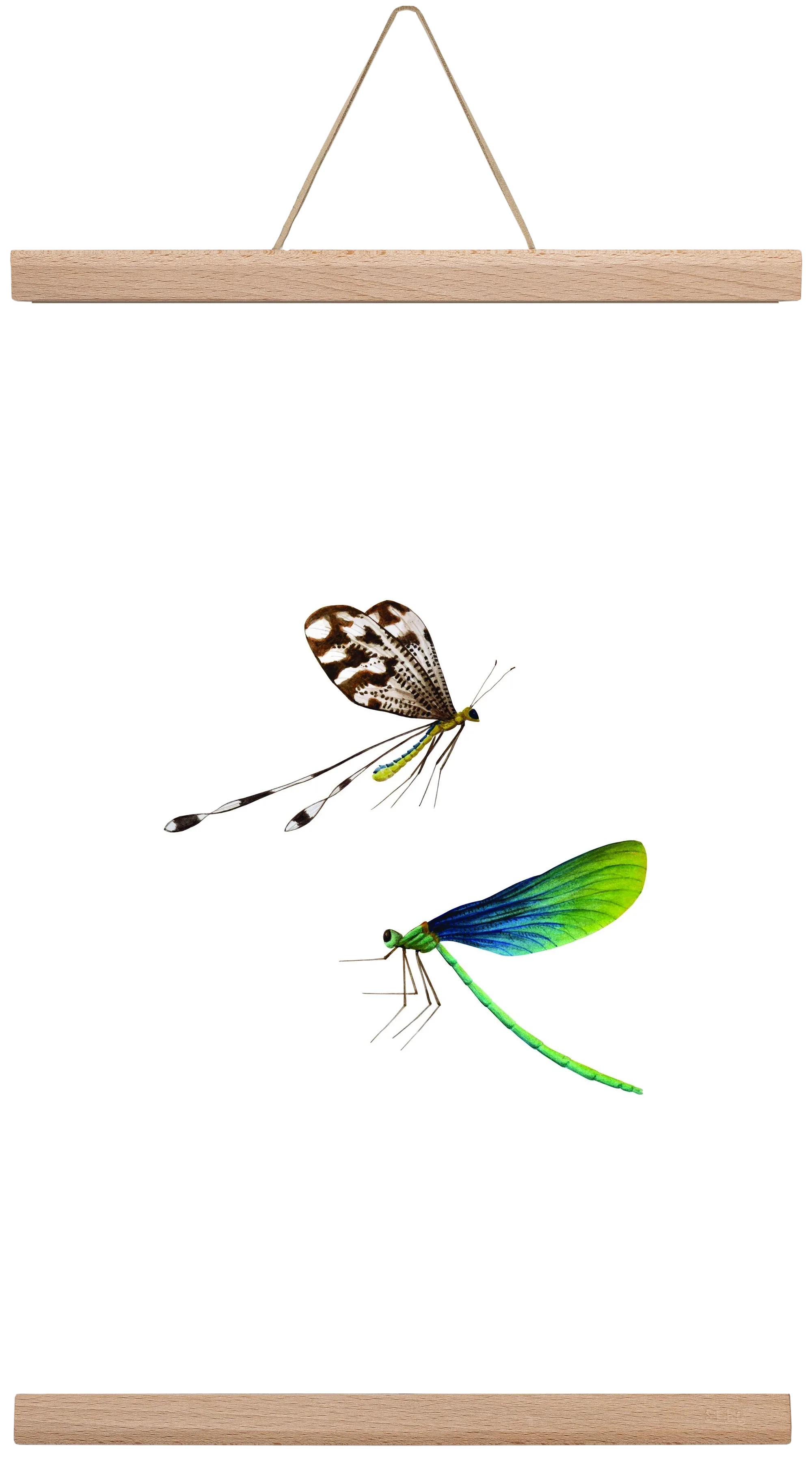dragonflies - artbridge