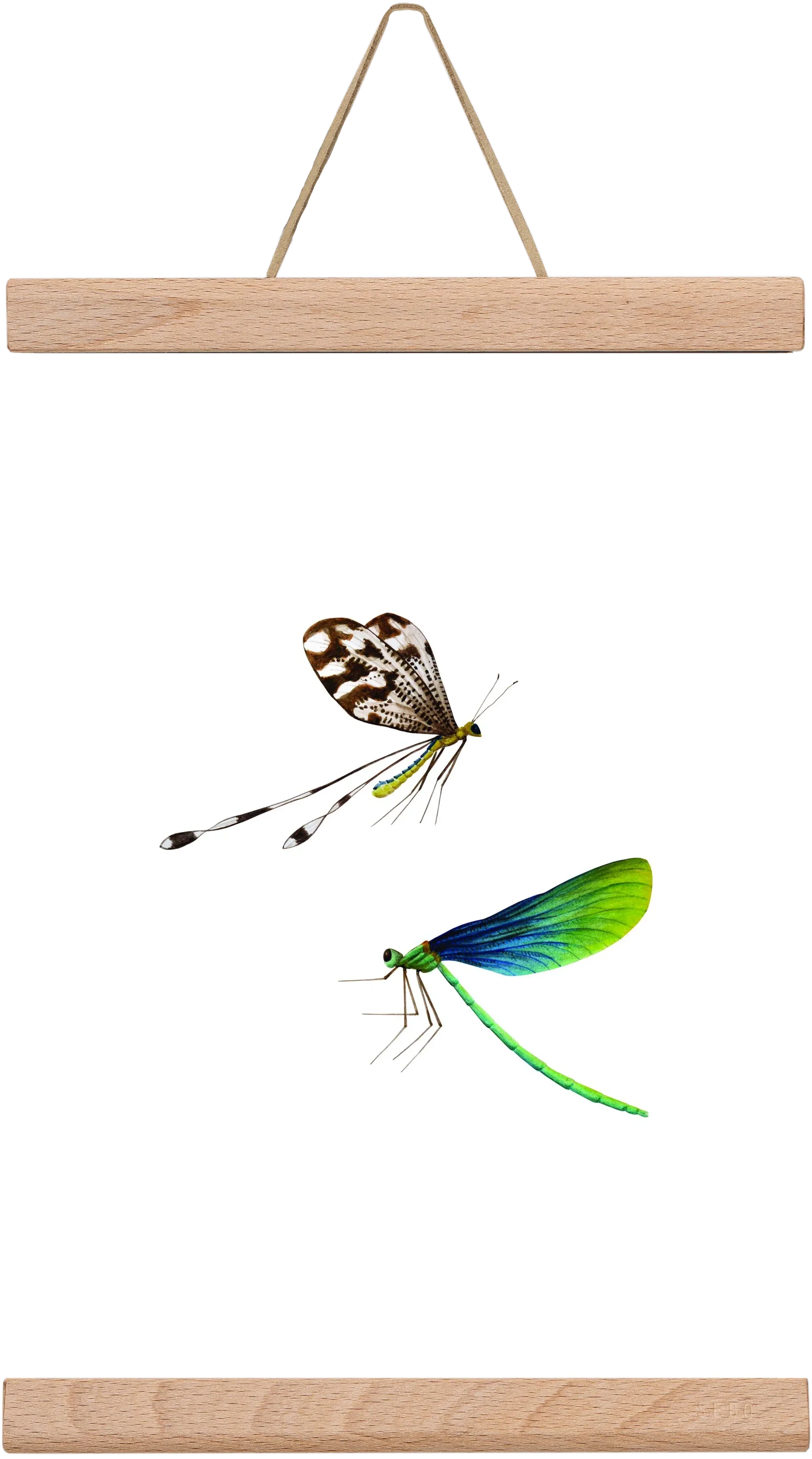 dragonflies - artbridge