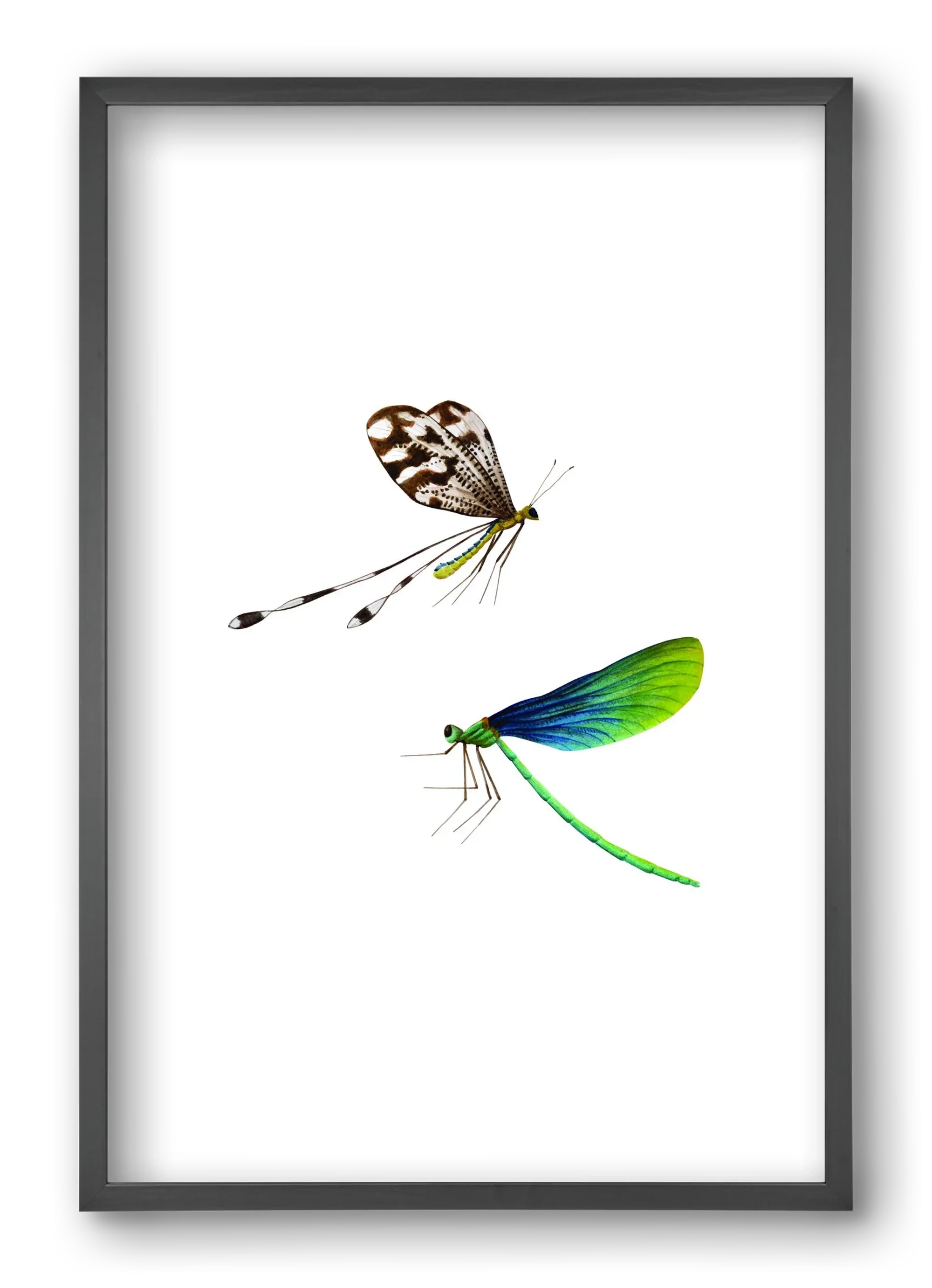 dragonflies - artbridge