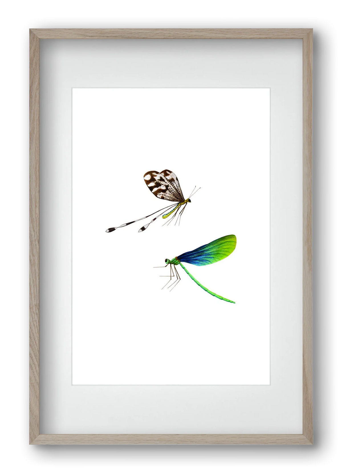 dragonflies - artbridge