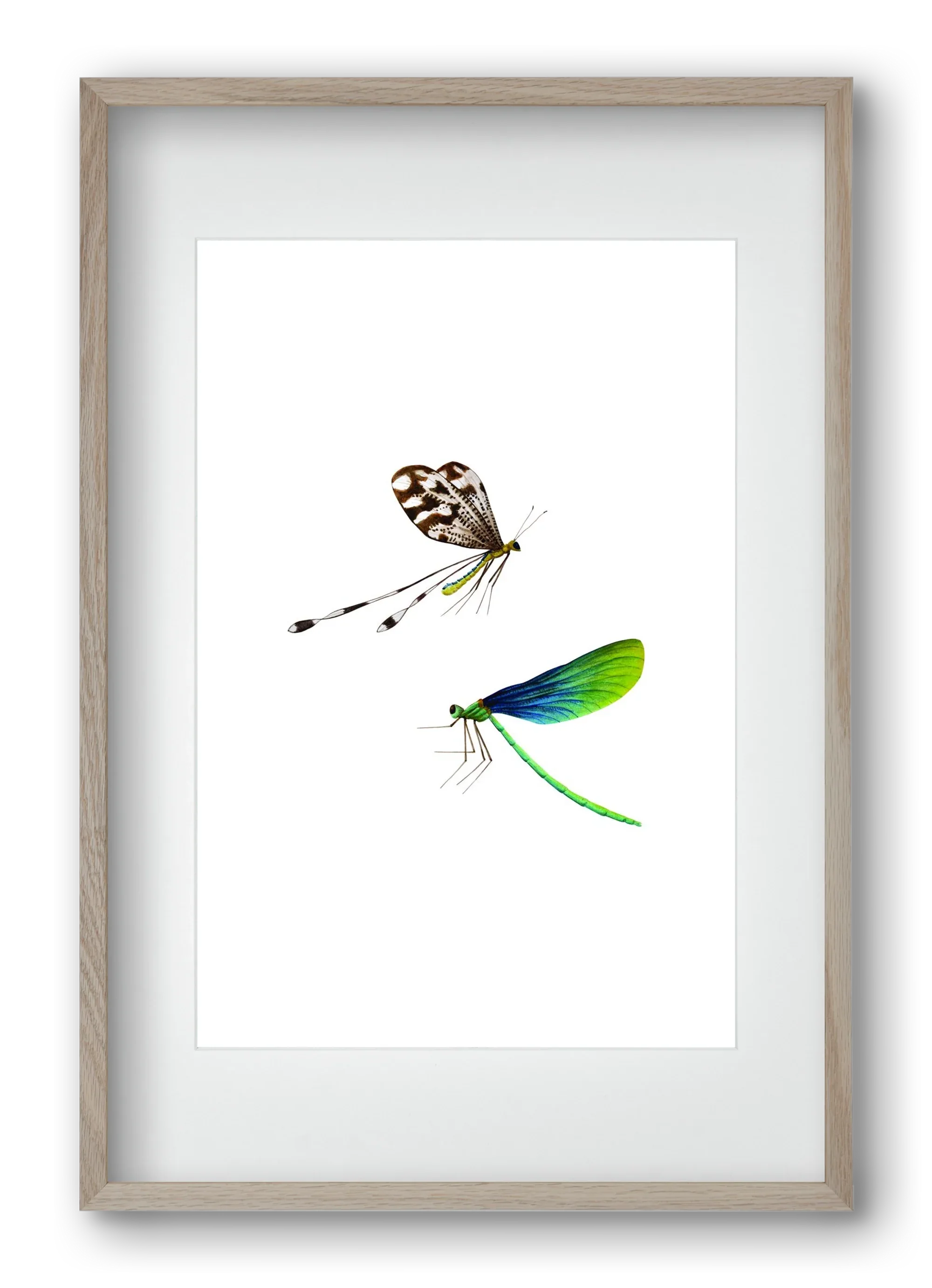 dragonflies - artbridge