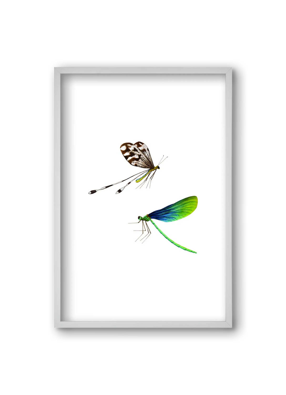 dragonflies - artbridge
