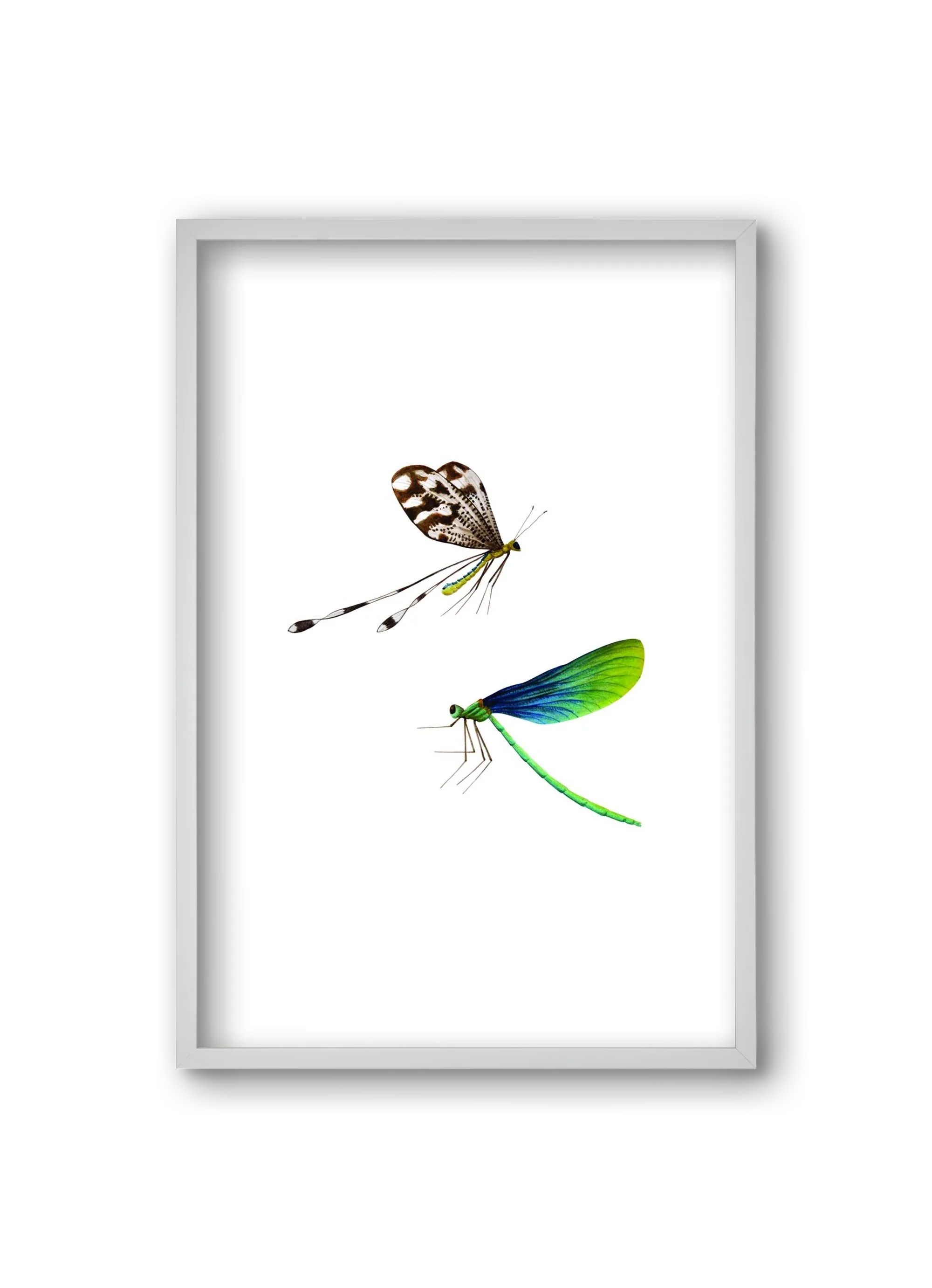 dragonflies - artbridge