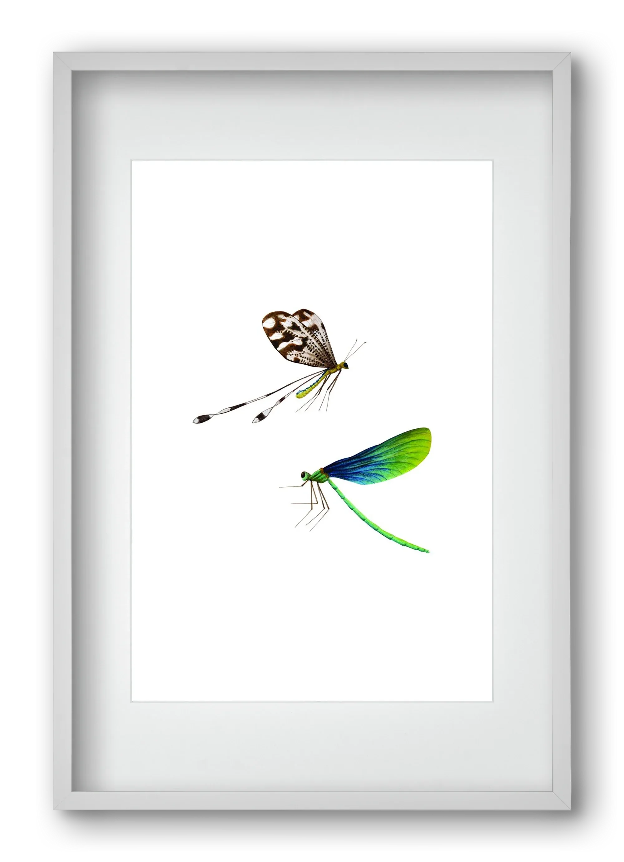 dragonflies - artbridge