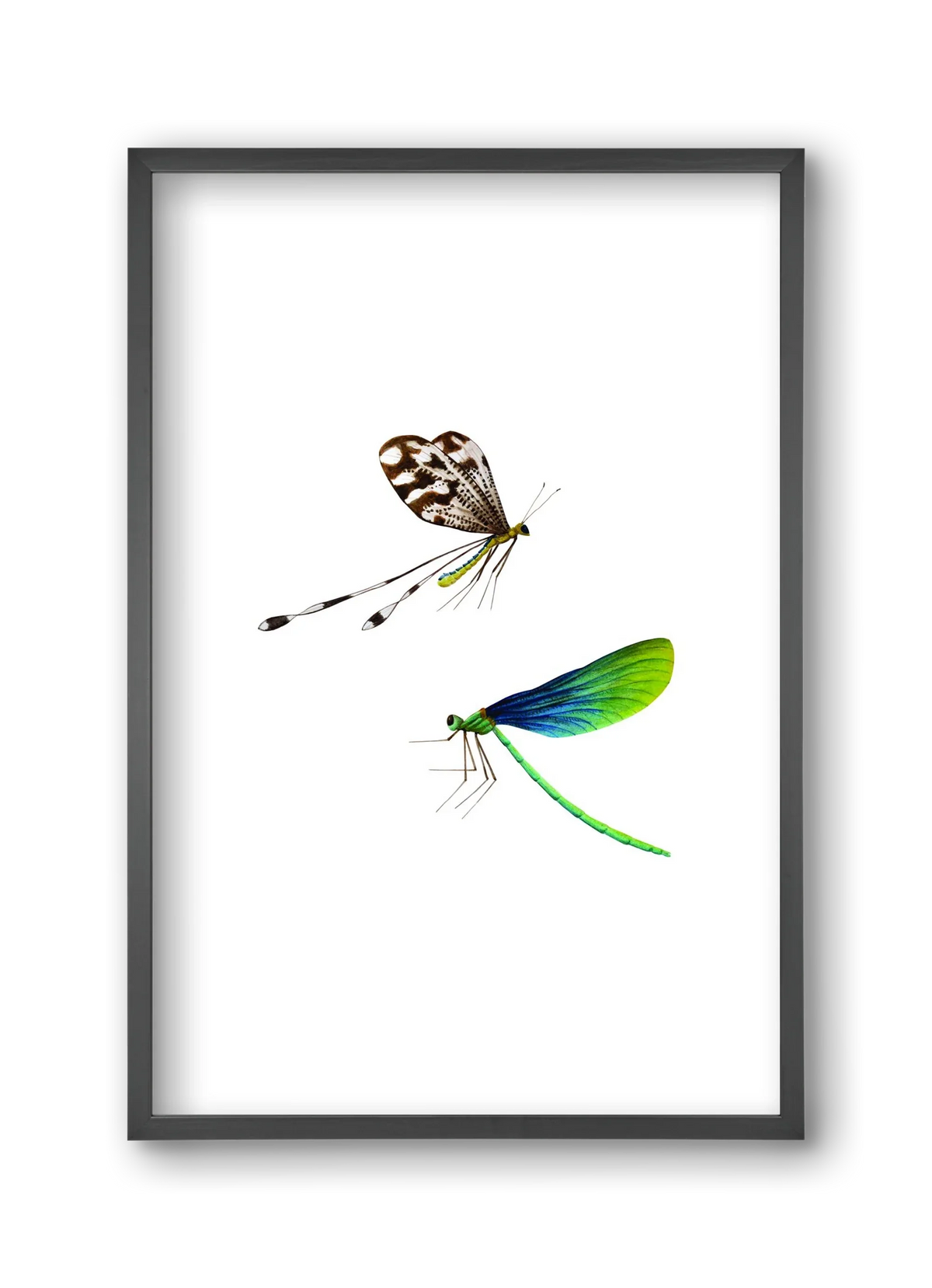 dragonflies - artbridge