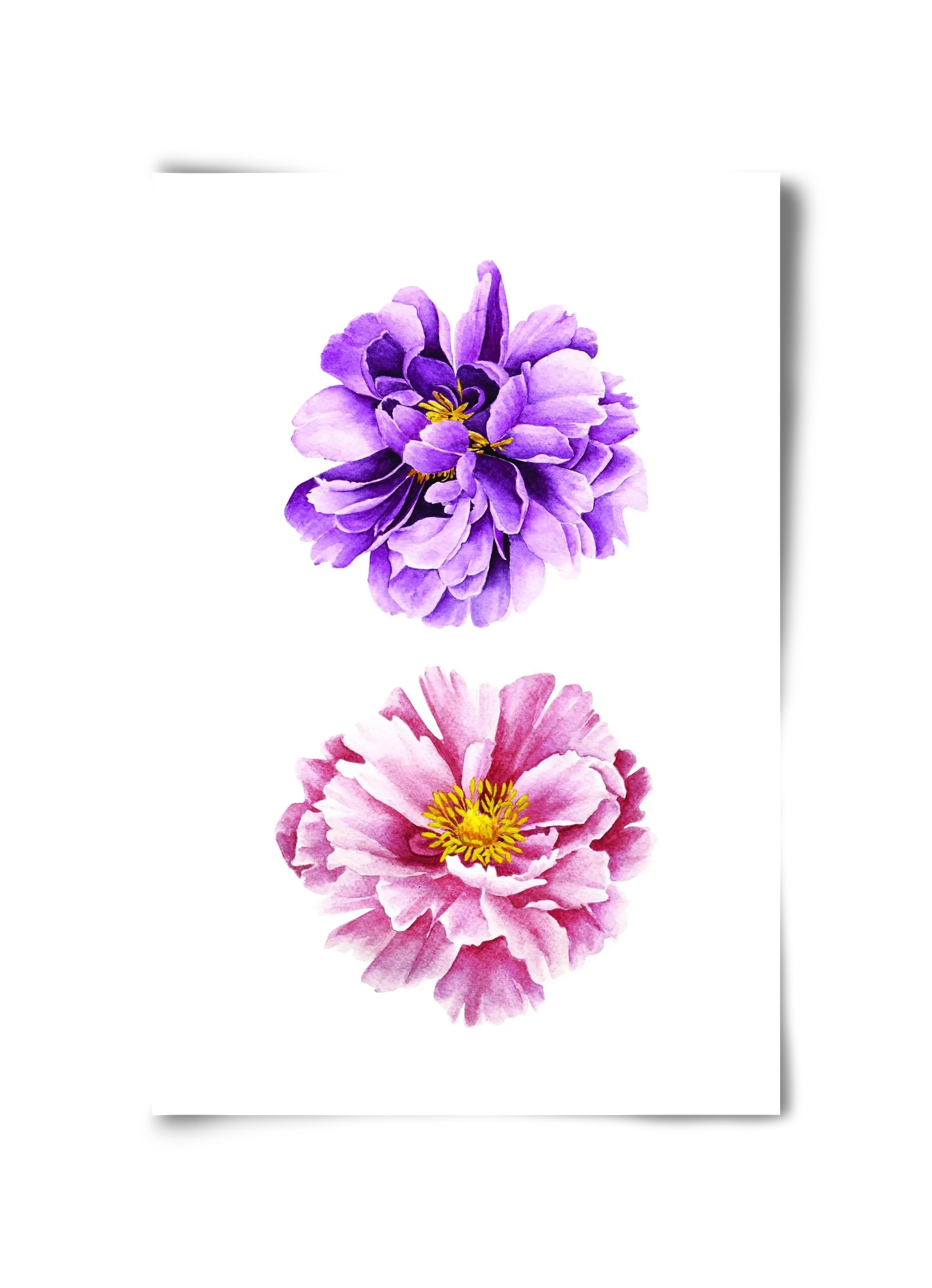 peonies - artbridge