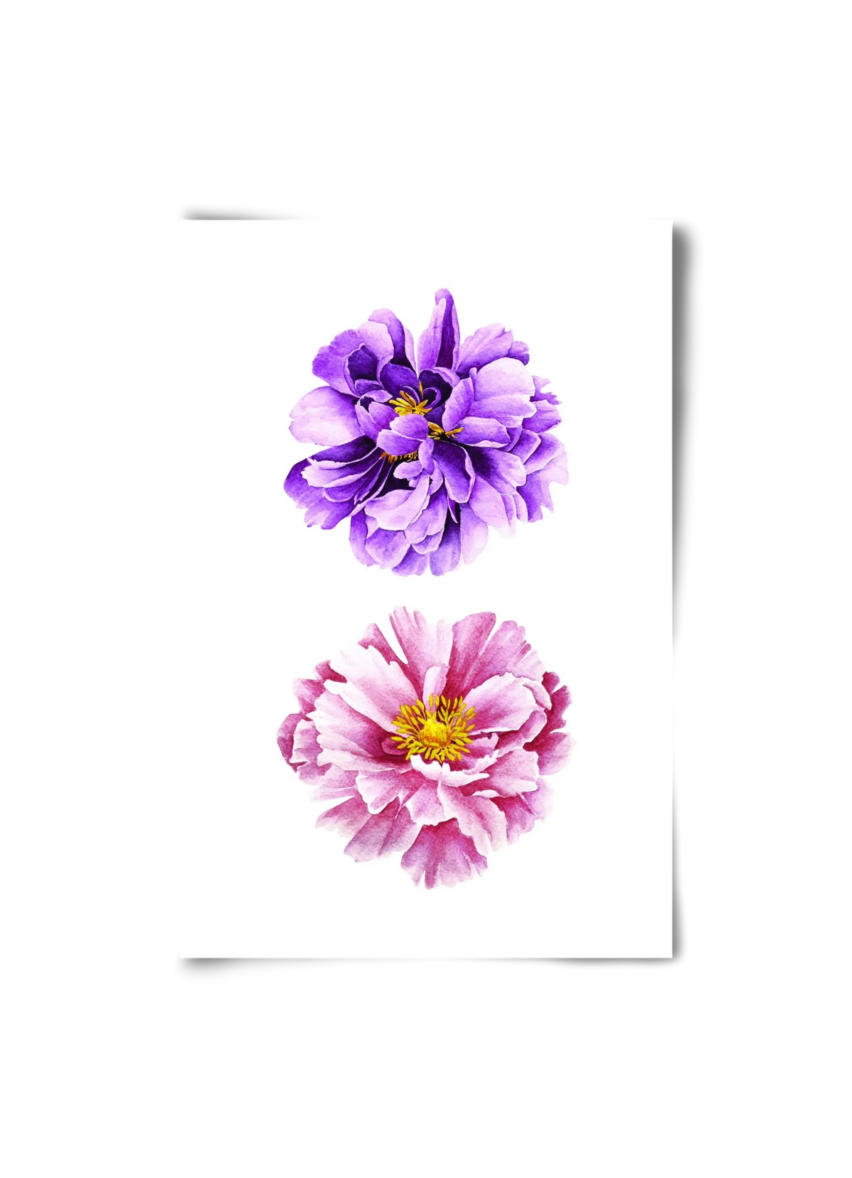 peonies - artbridge