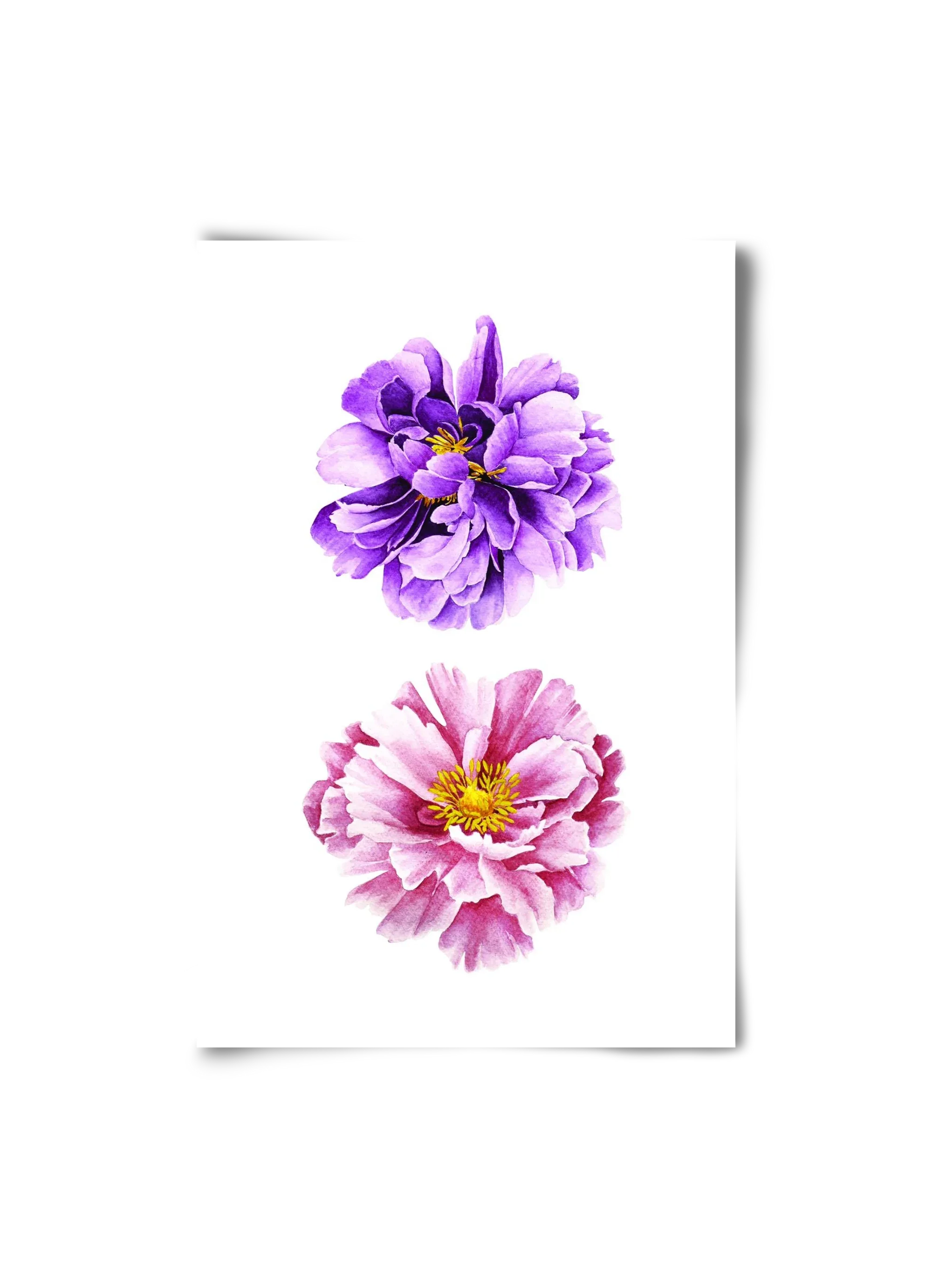 peonies - artbridge