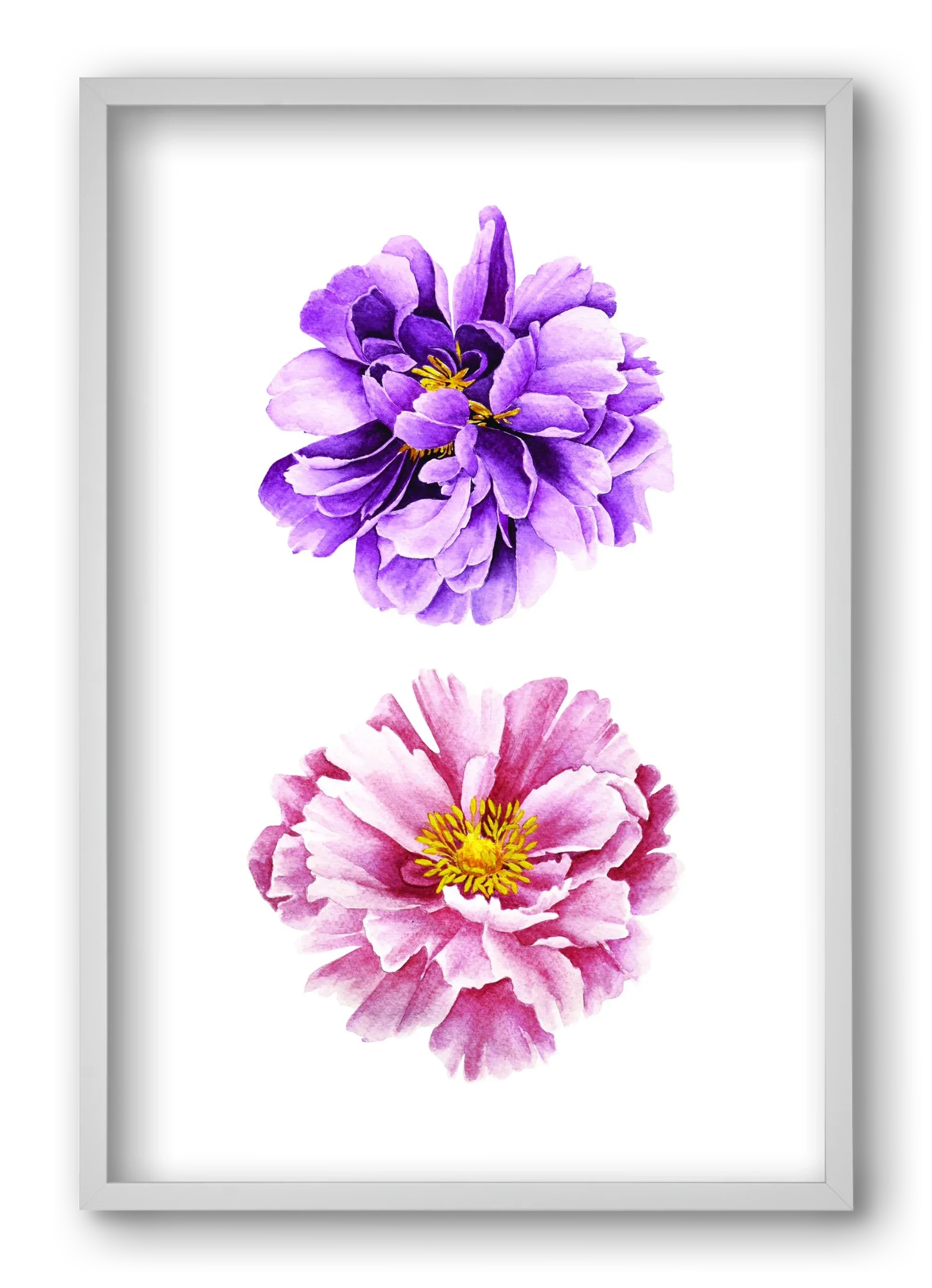 peonies - artbridge