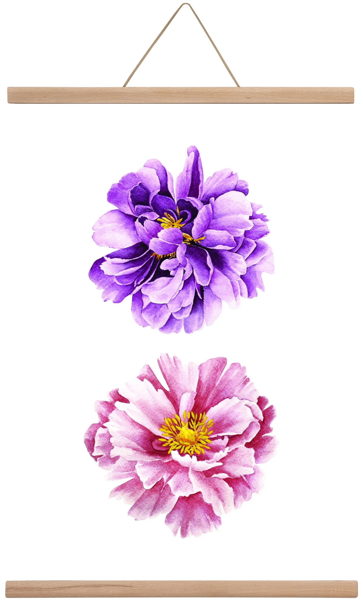peonies - artbridge