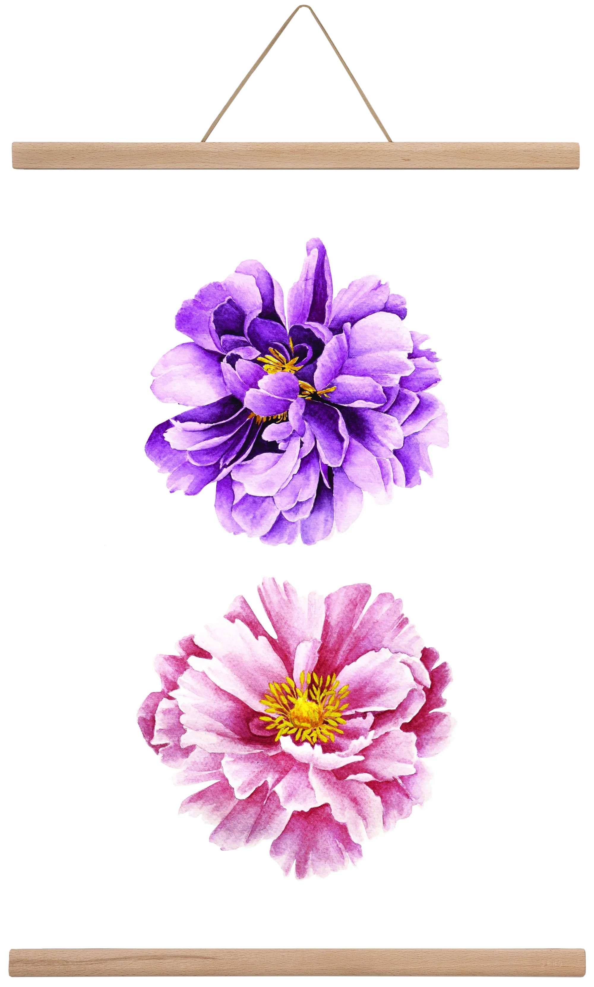 peonies - artbridge