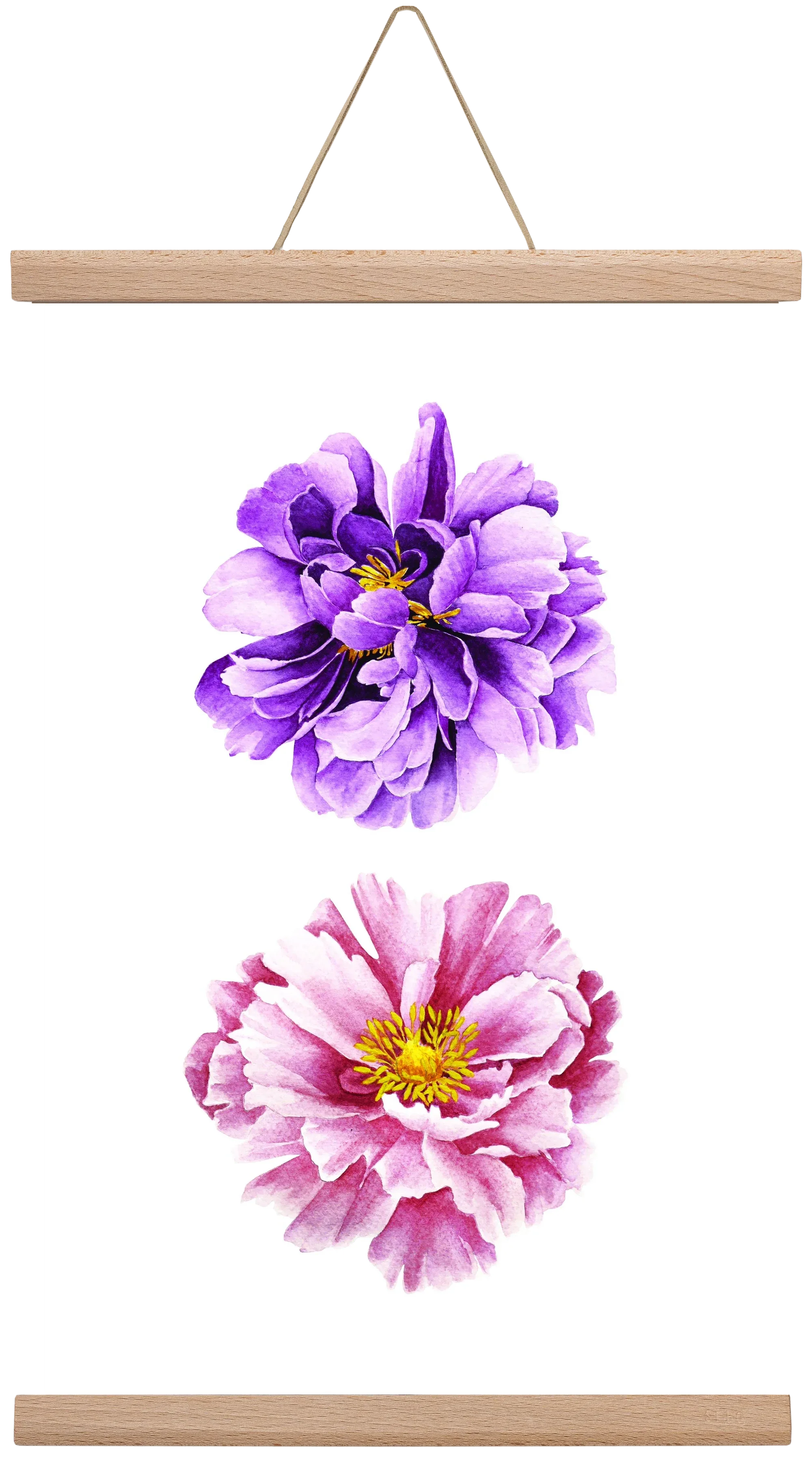 peonies - artbridge