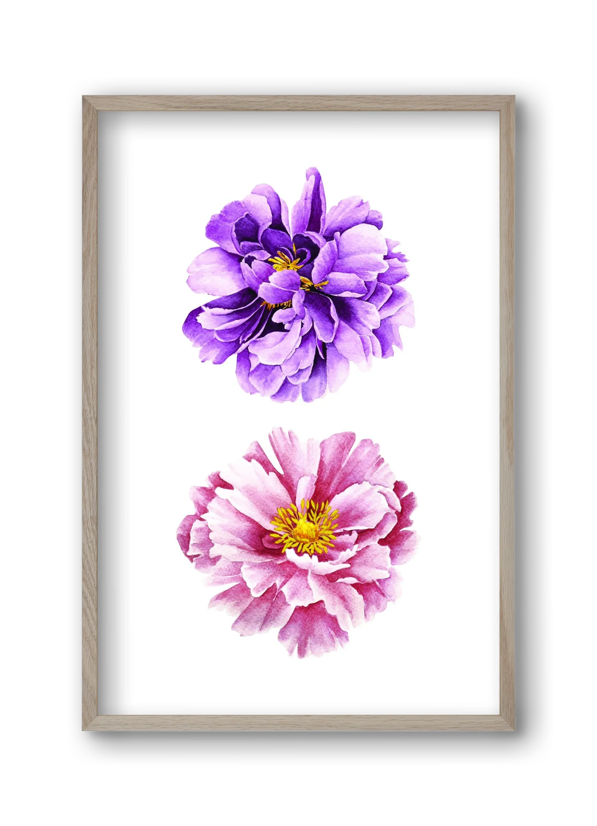 peonies - artbridge