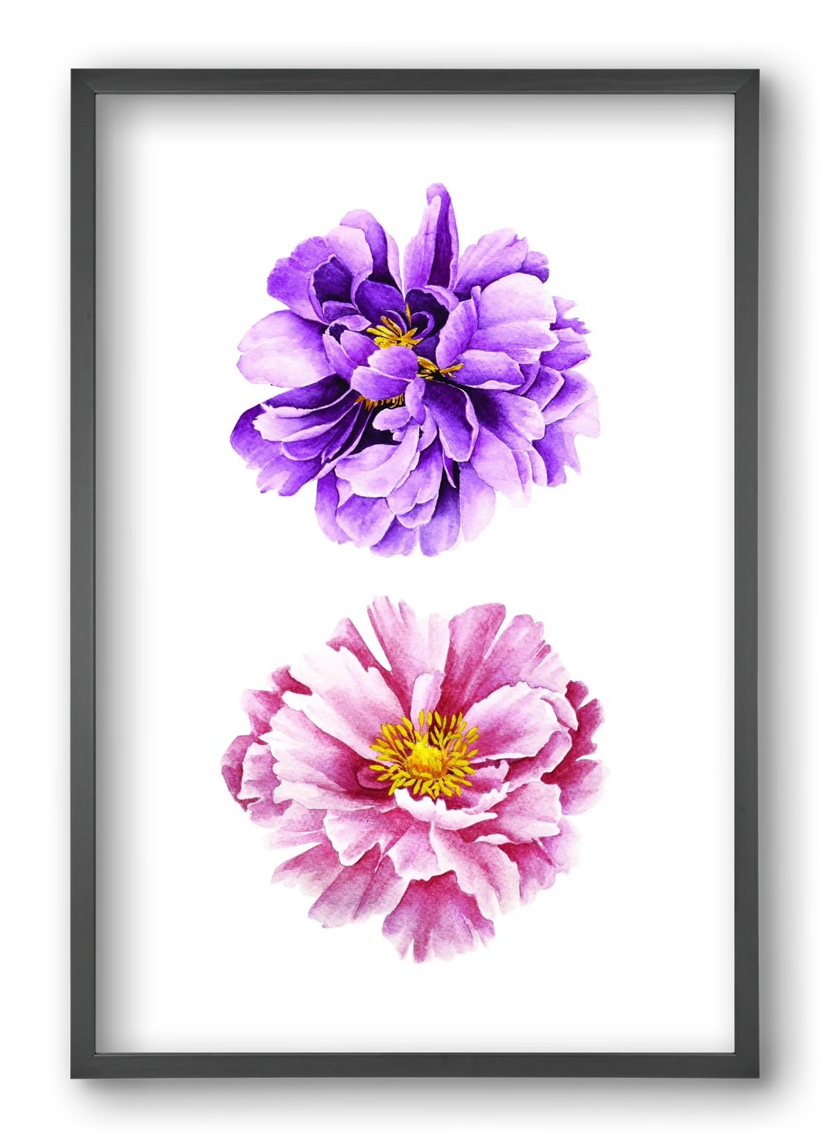 peonies - artbridge