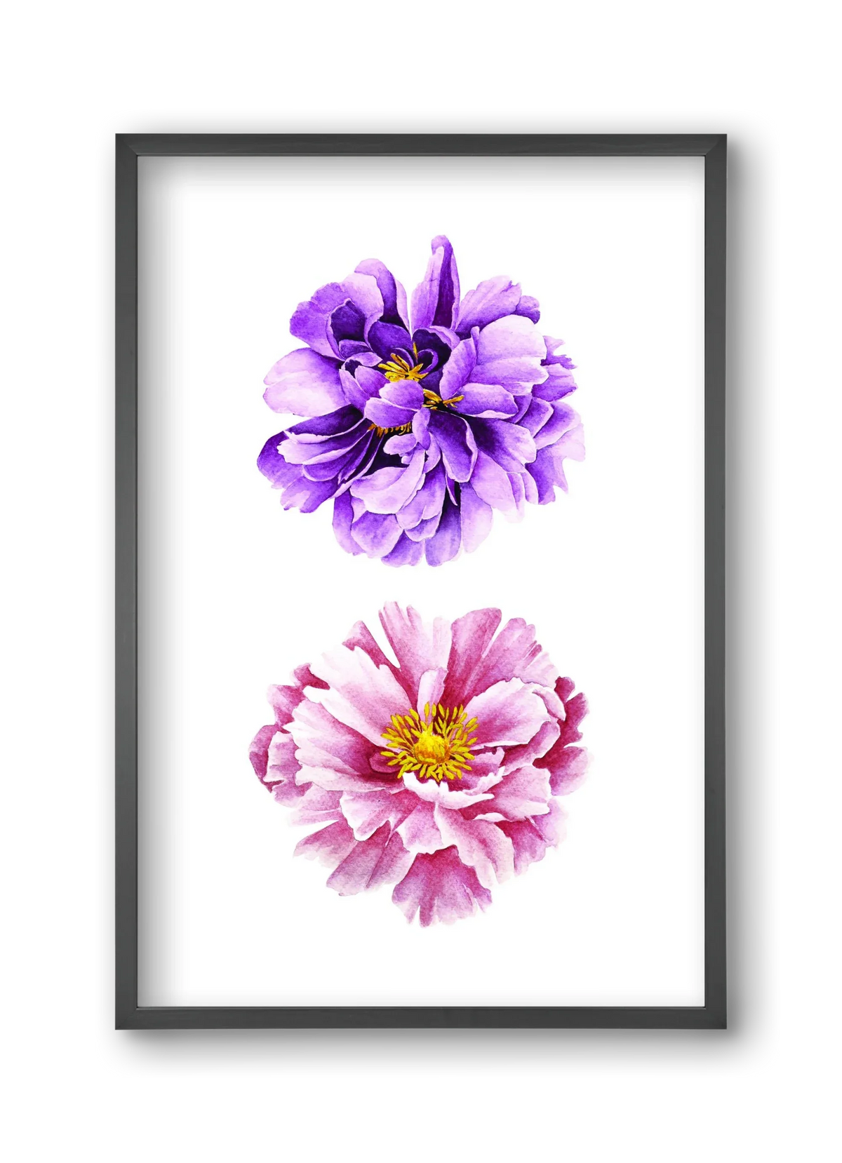 peonies - artbridge