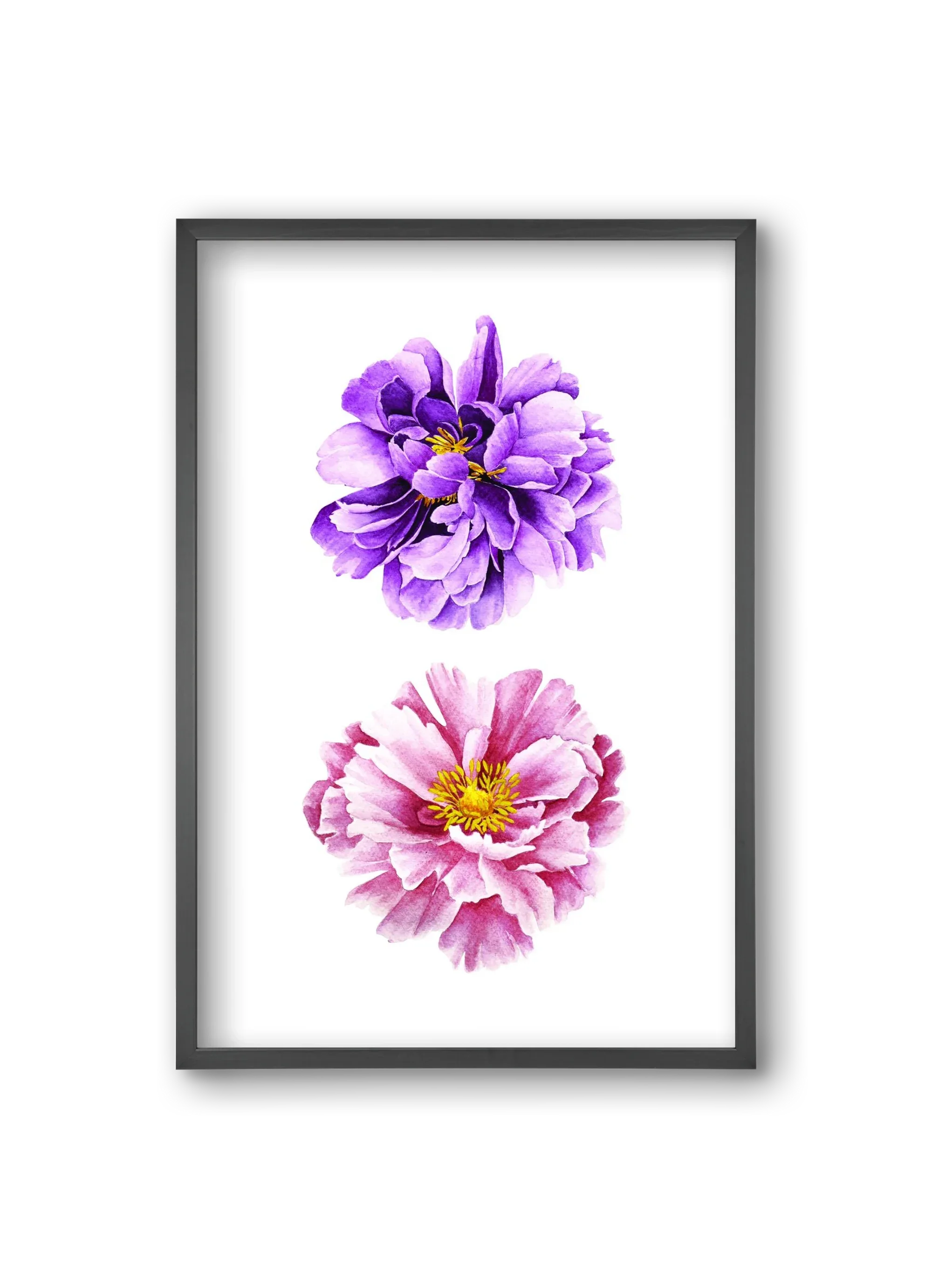 peonies - artbridge