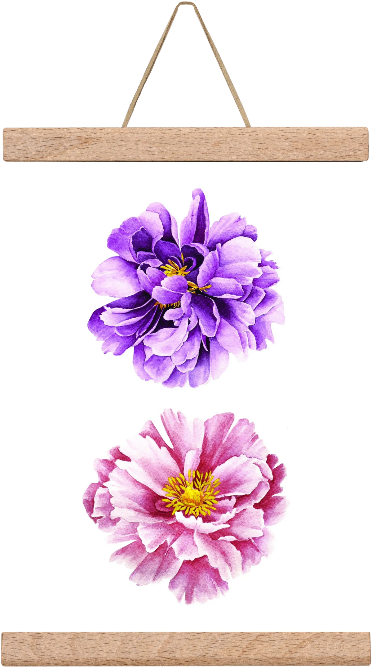 peonies - artbridge