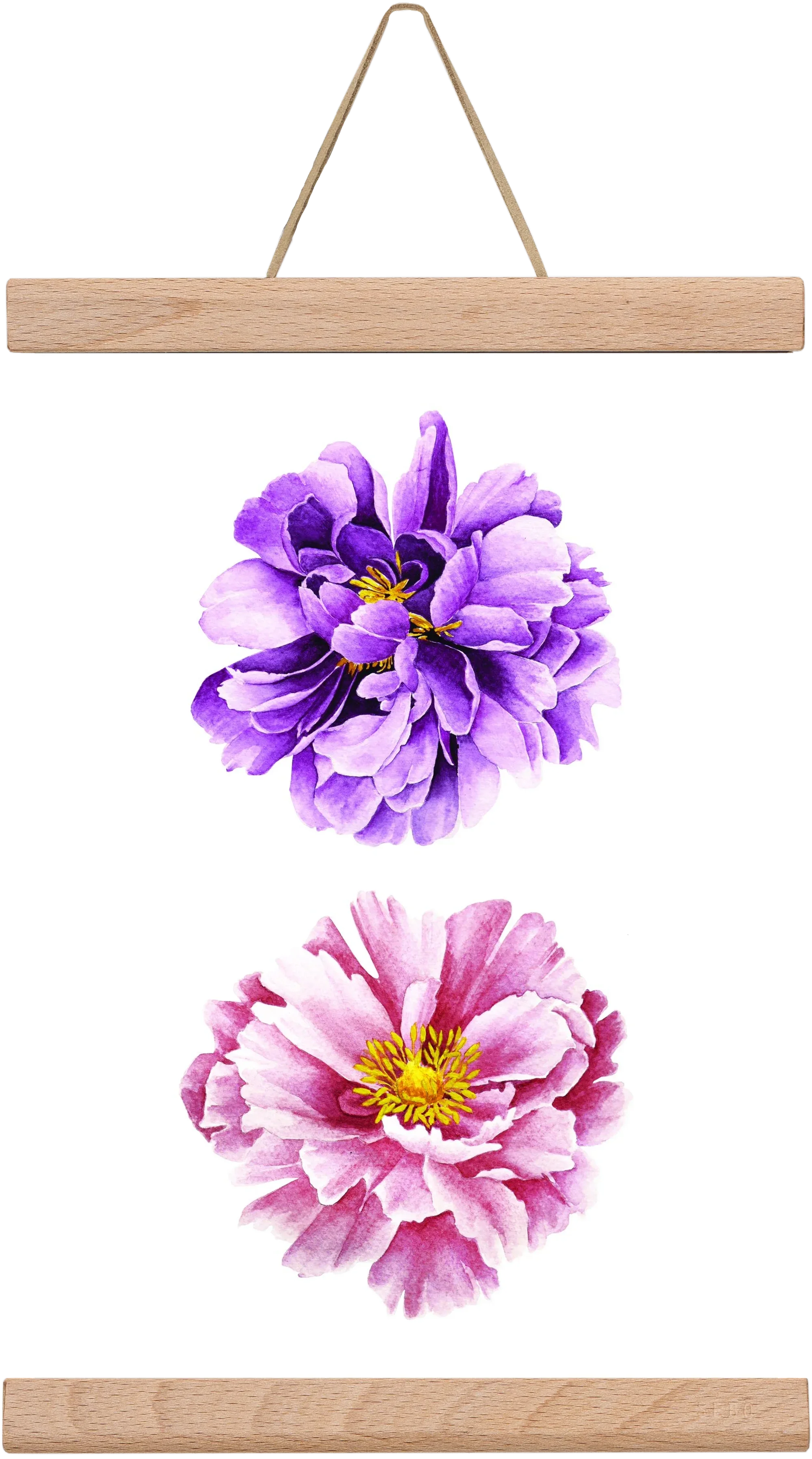 peonies - artbridge