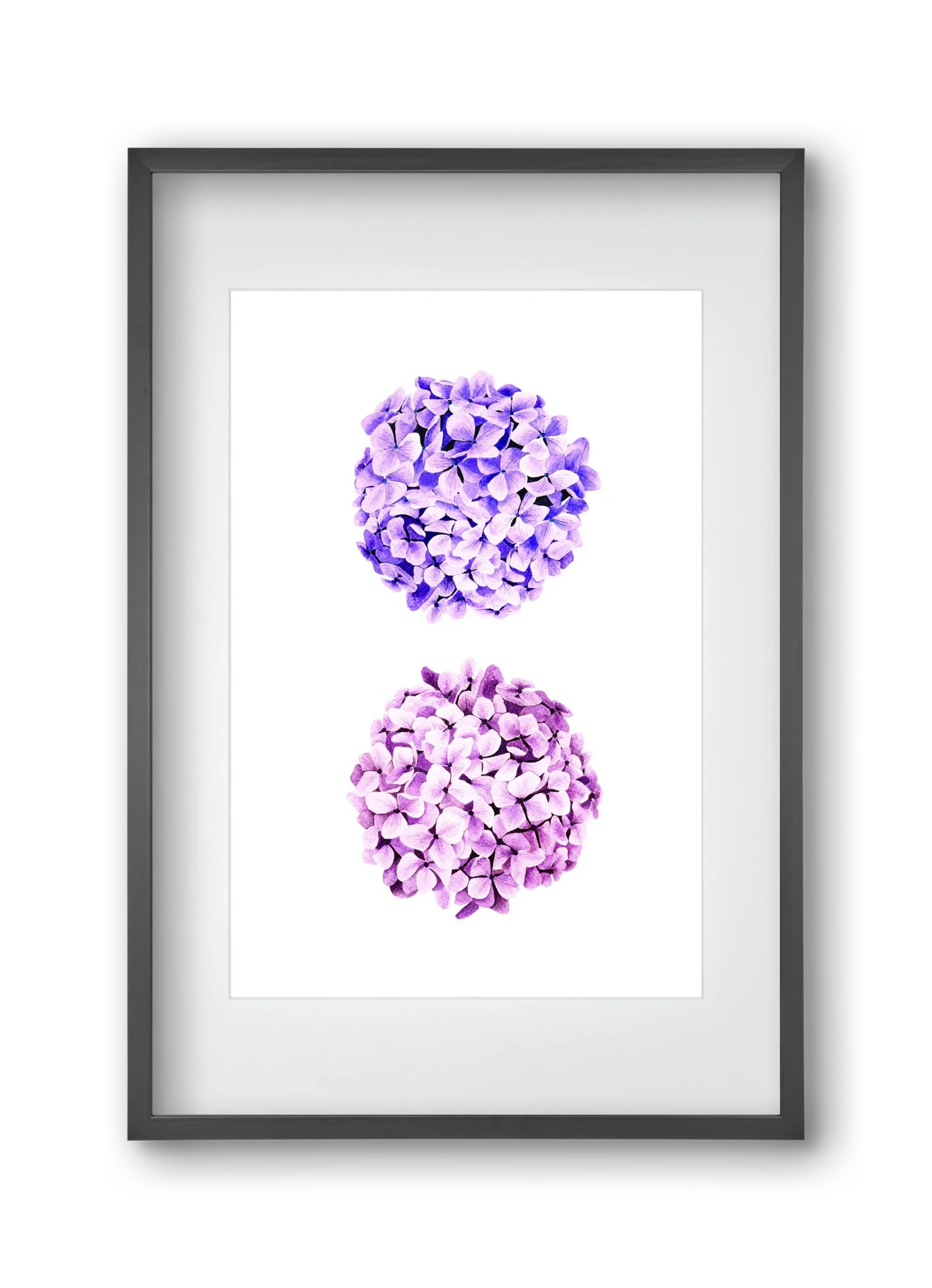 hydrangea - artbridge