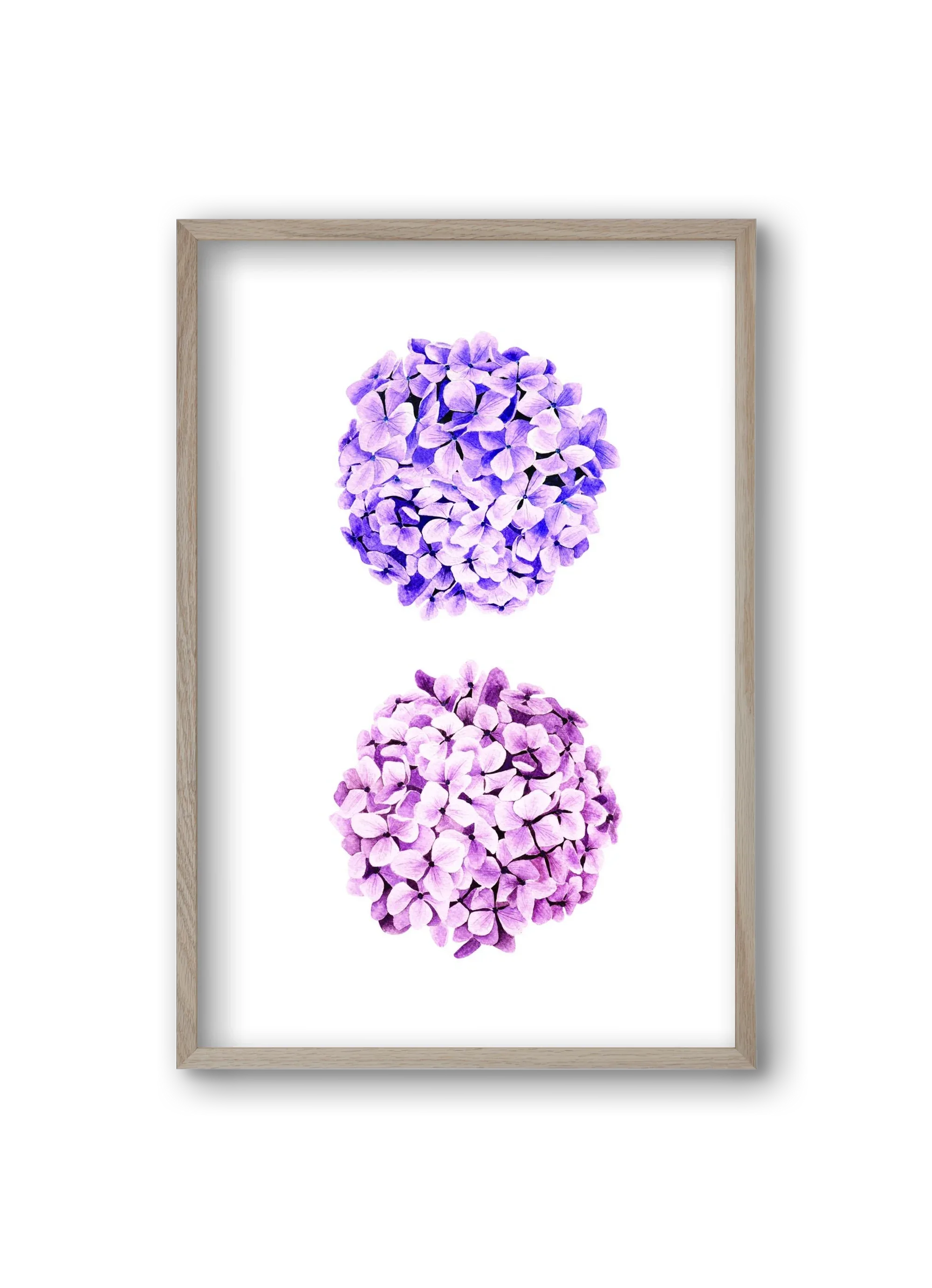 hydrangea - artbridge
