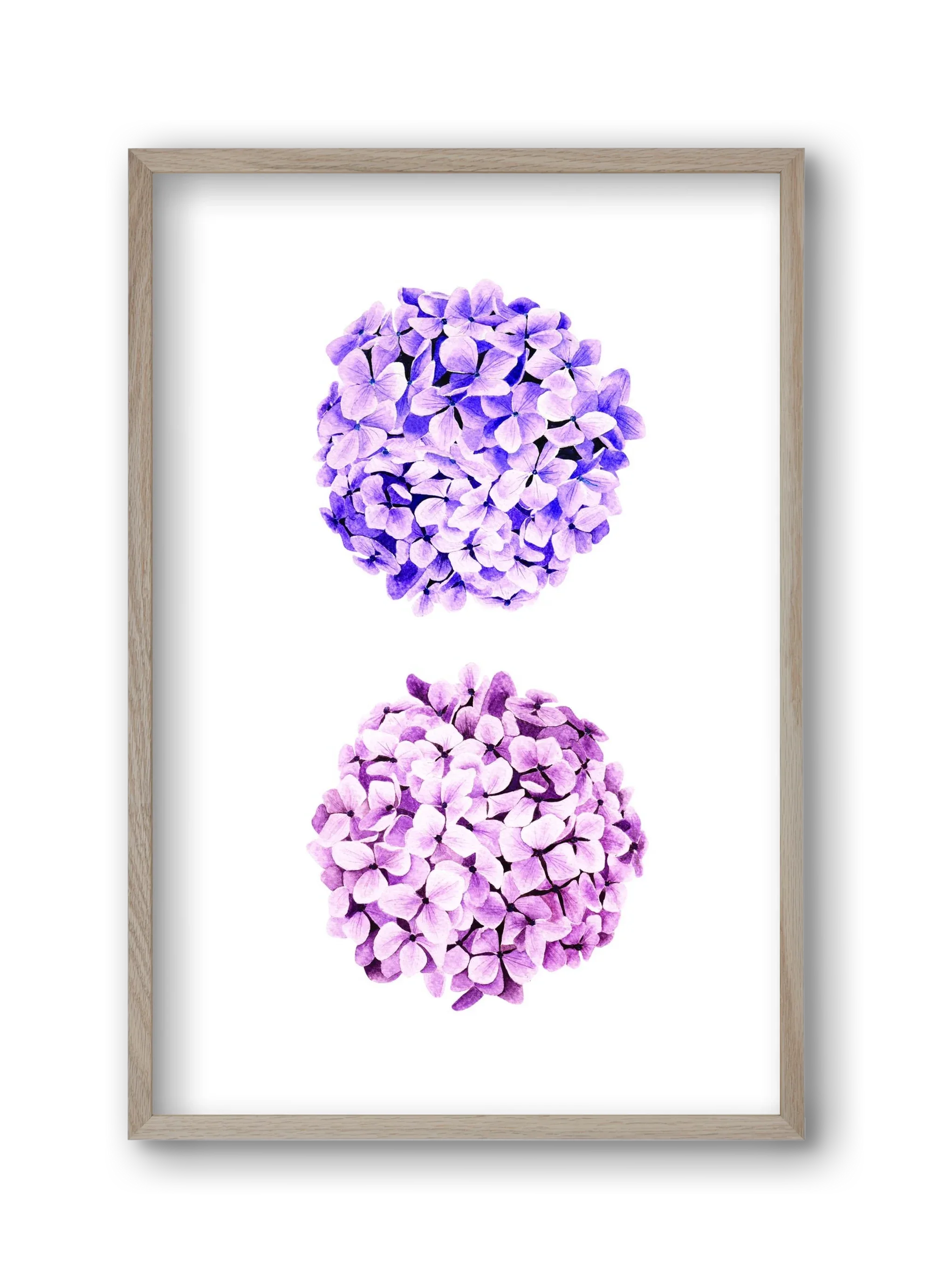 hydrangea - artbridge