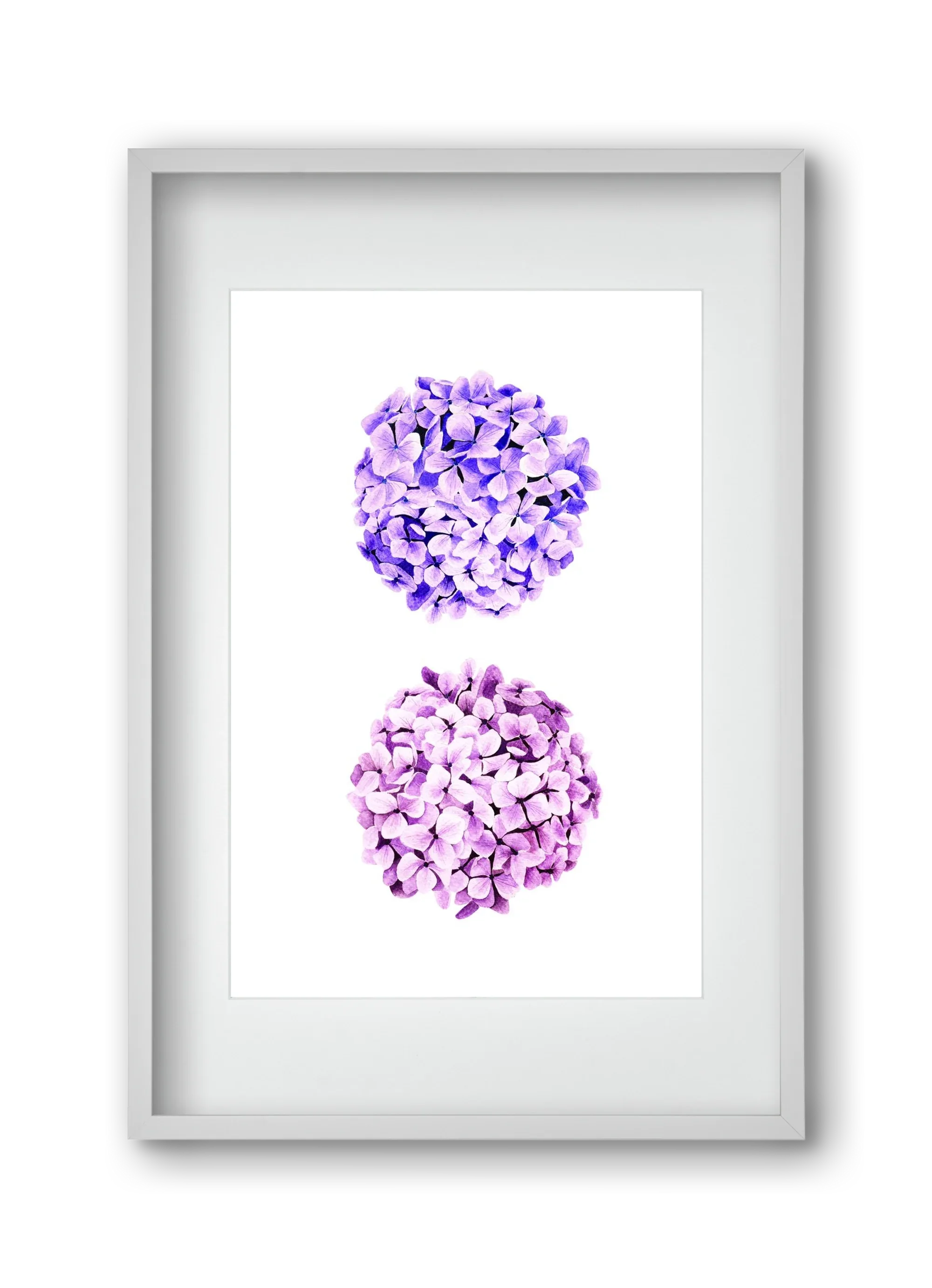 hydrangea - artbridge