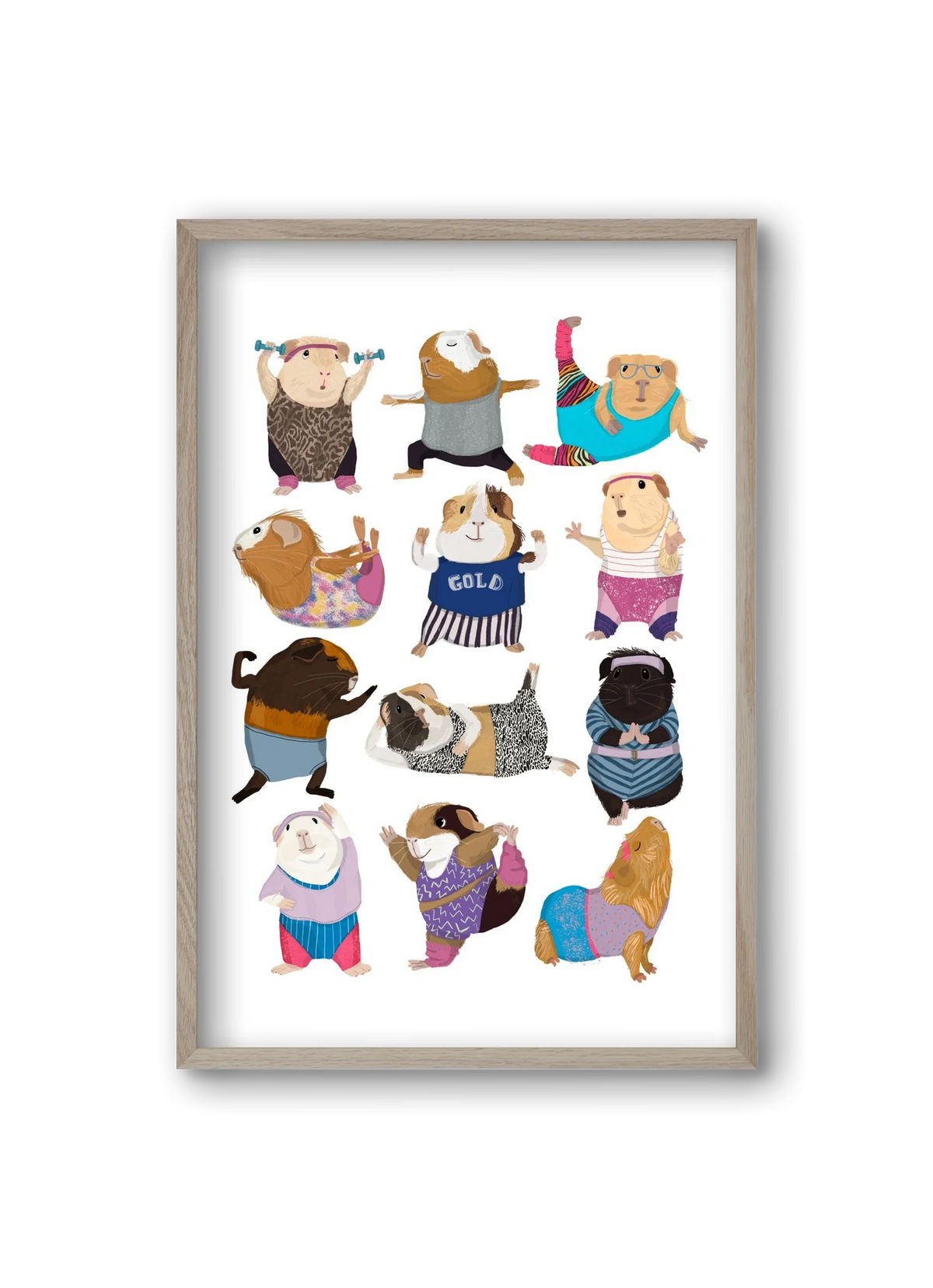Guinea Pigs doing Aerobic - artbridge
