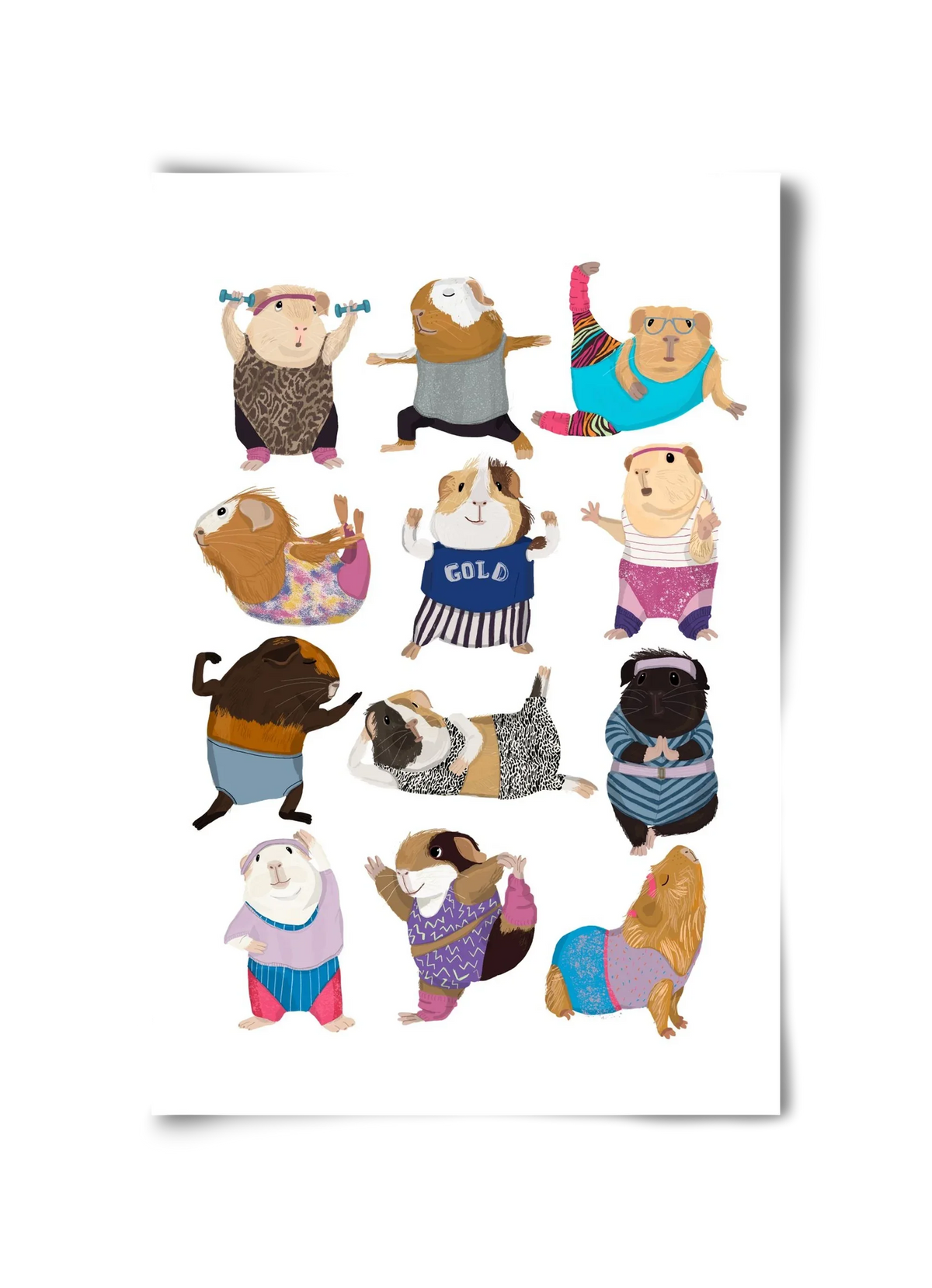 Guinea Pigs doing Aerobic - artbridge