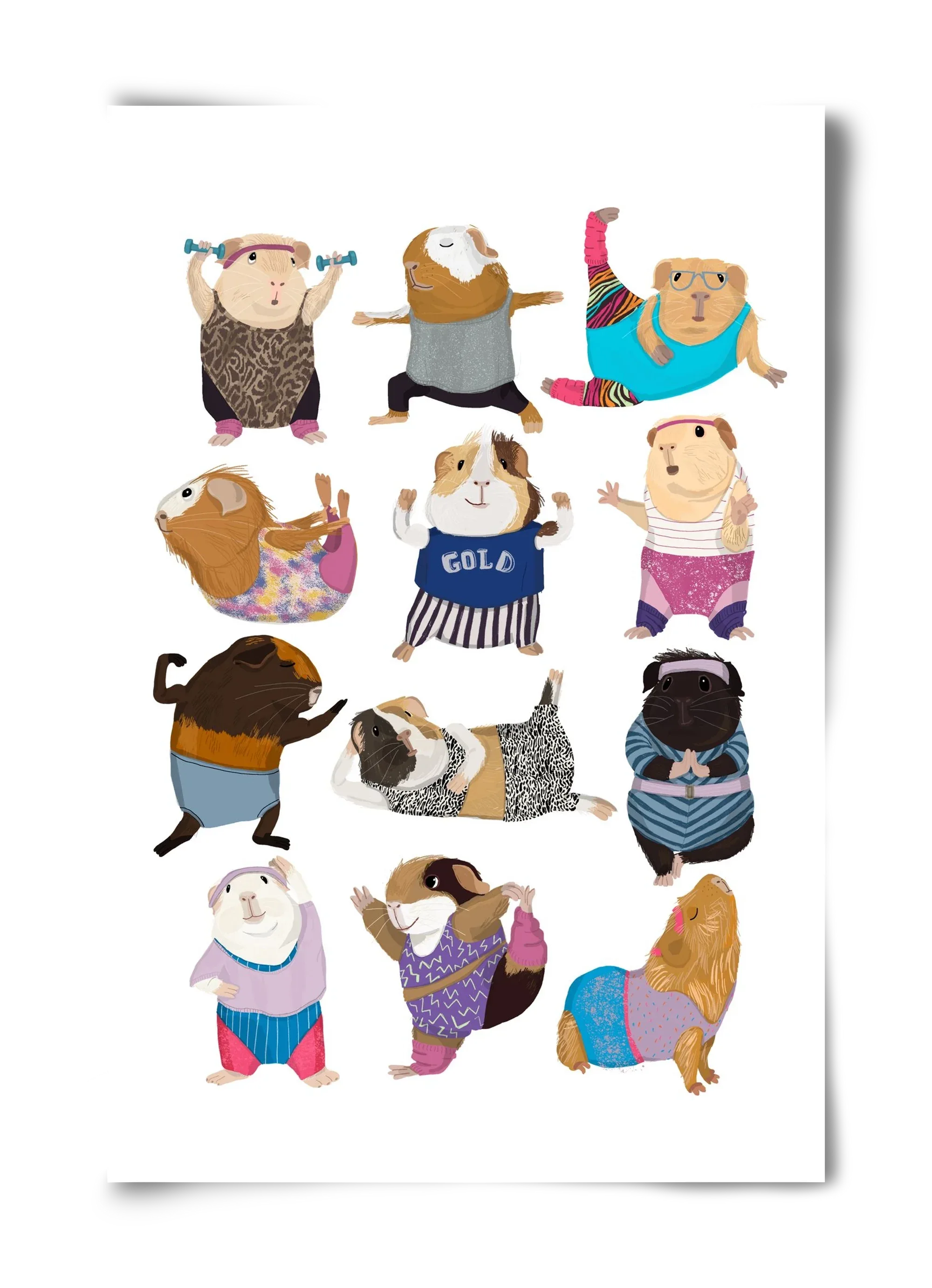 Guinea Pigs doing Aerobic - artbridge