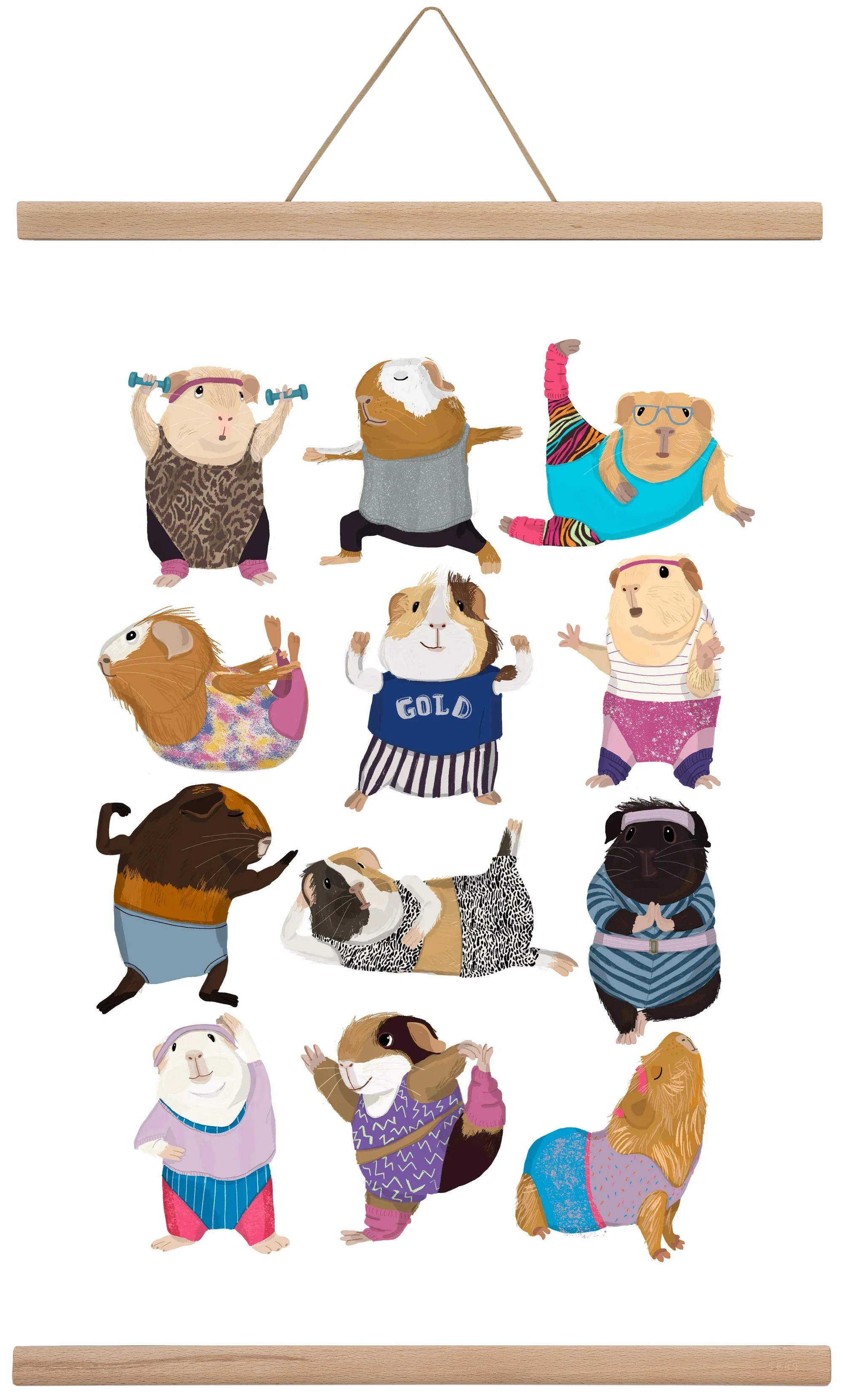 Guinea Pigs doing Aerobic - artbridge